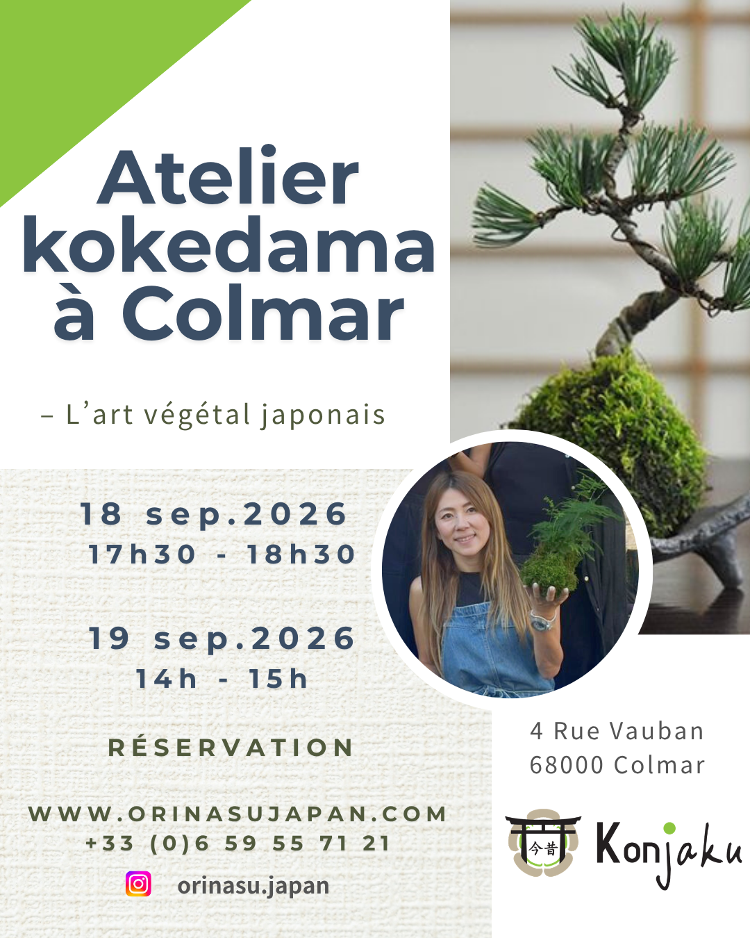 Atelier Kokedama à Colmar - septembre 2026
