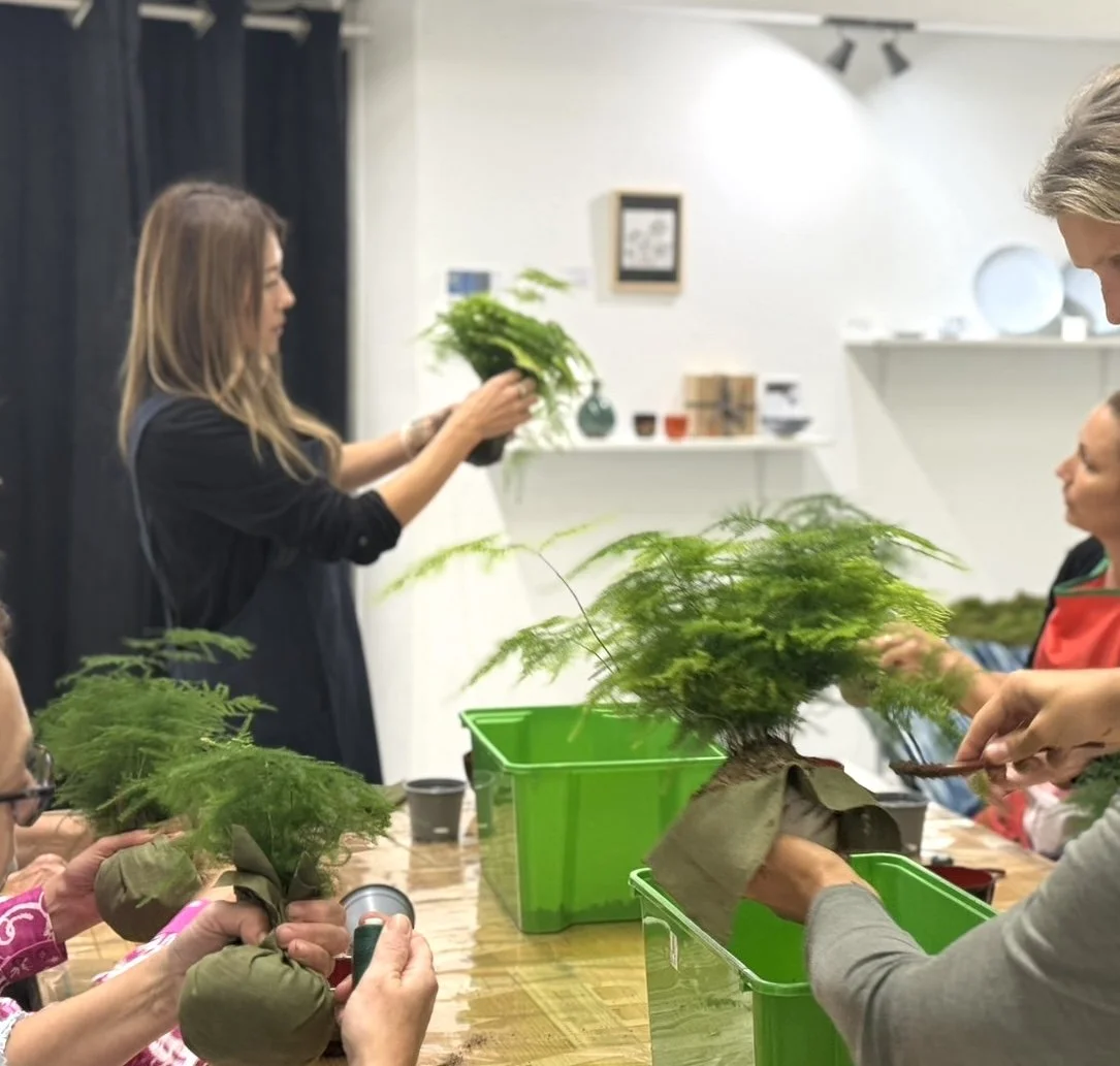 Kokedamas découverte – Team building / entre amis