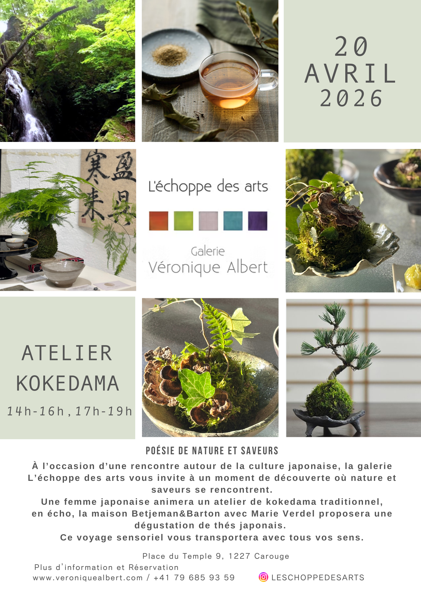 Atelier Kokedamas.L'echoppe des arts Geneve