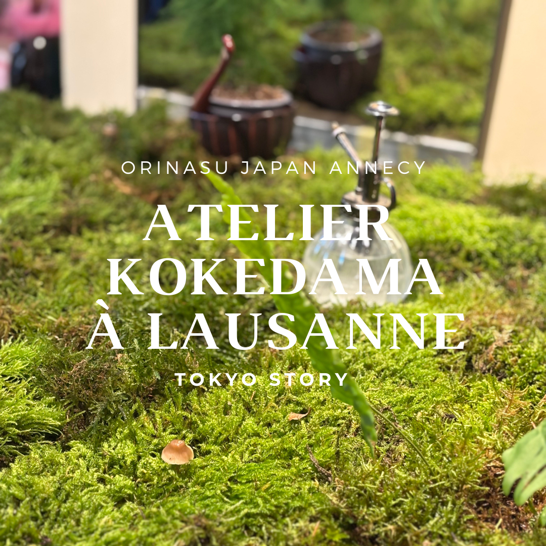 Kokedamas Lausanne mars 2026 (3).png