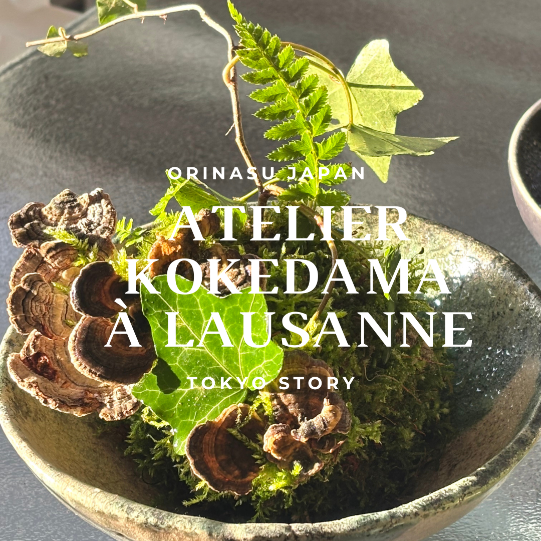 Atelier kokedama Lausanne