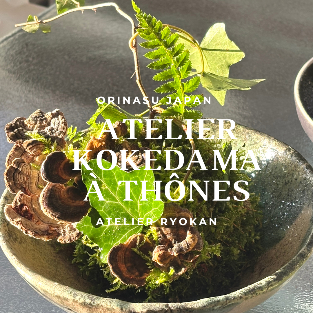 Atelier kokedamas à Thônes