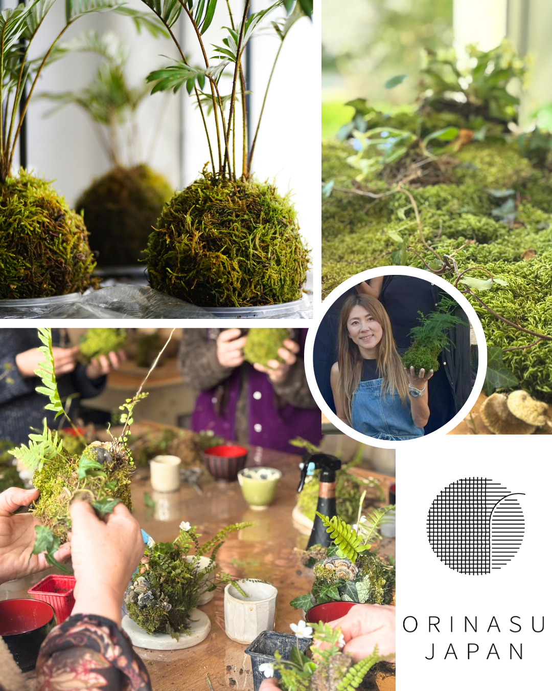 Atelier créatif kokedama japonais à les Gets