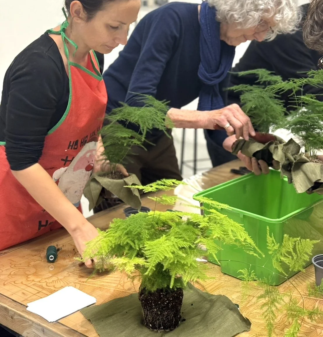 Création de son propre kokedama, avec ses mains