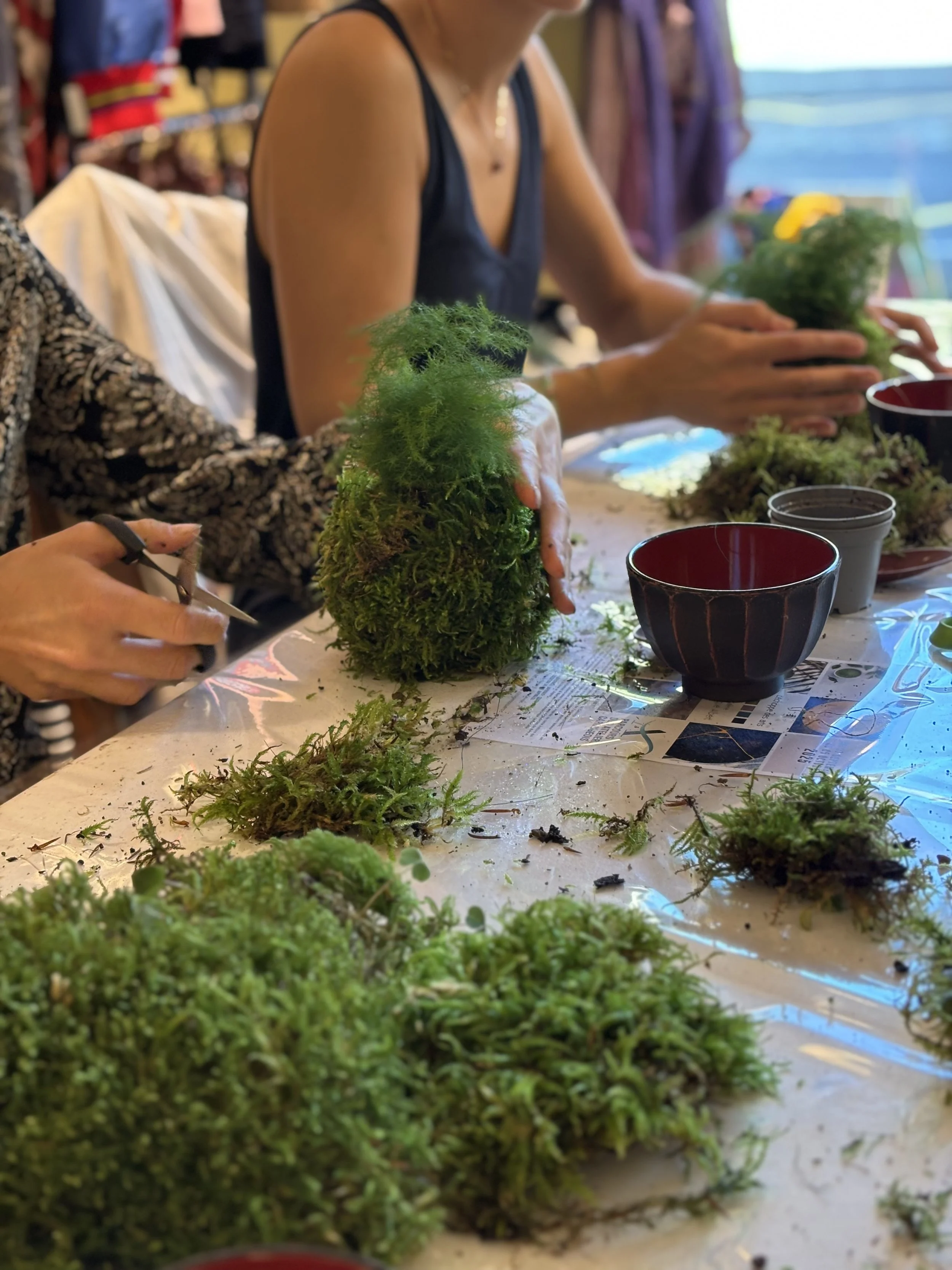 une expérience sensible et consciente avec la nature