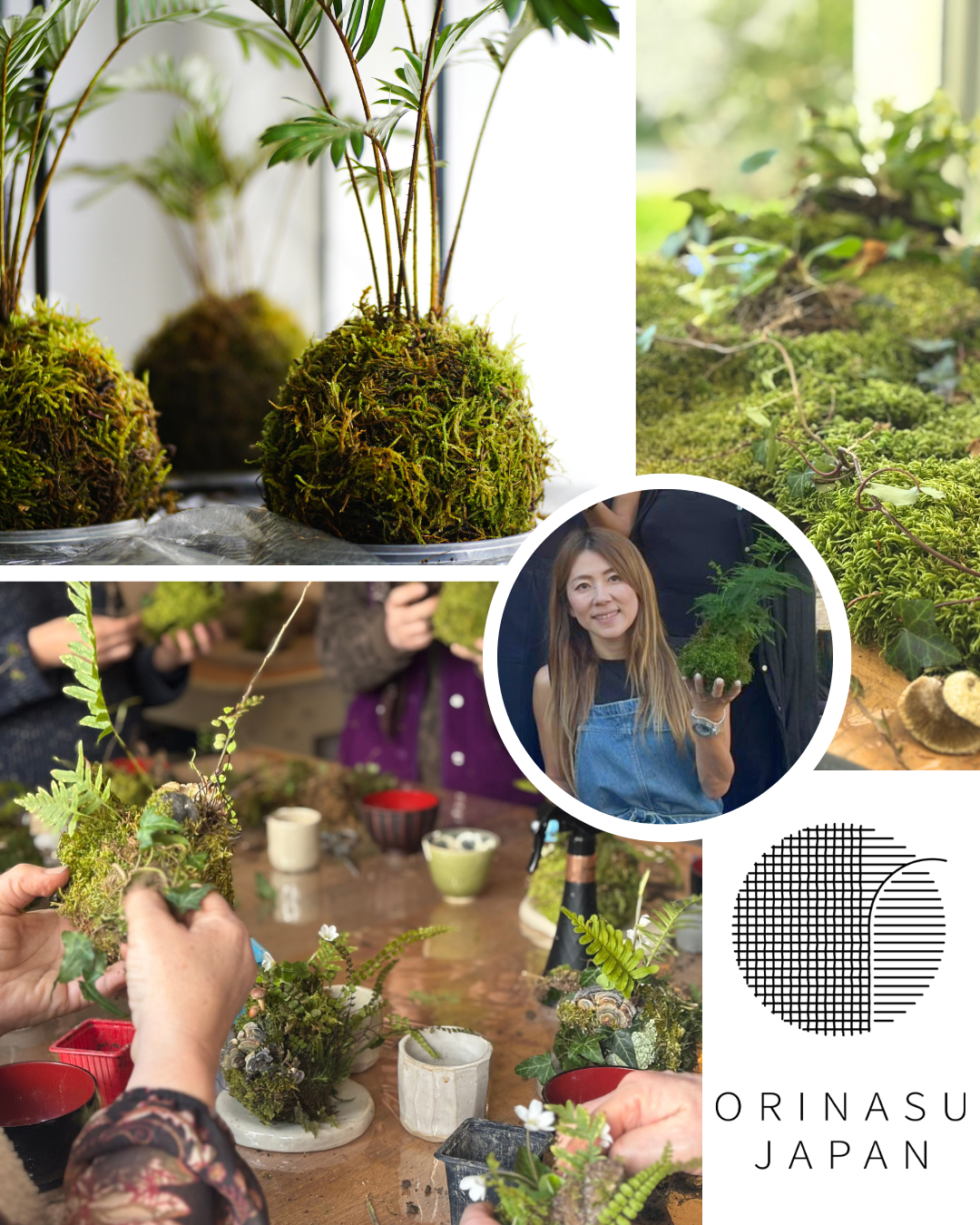 Atelier kokedama à Annecy