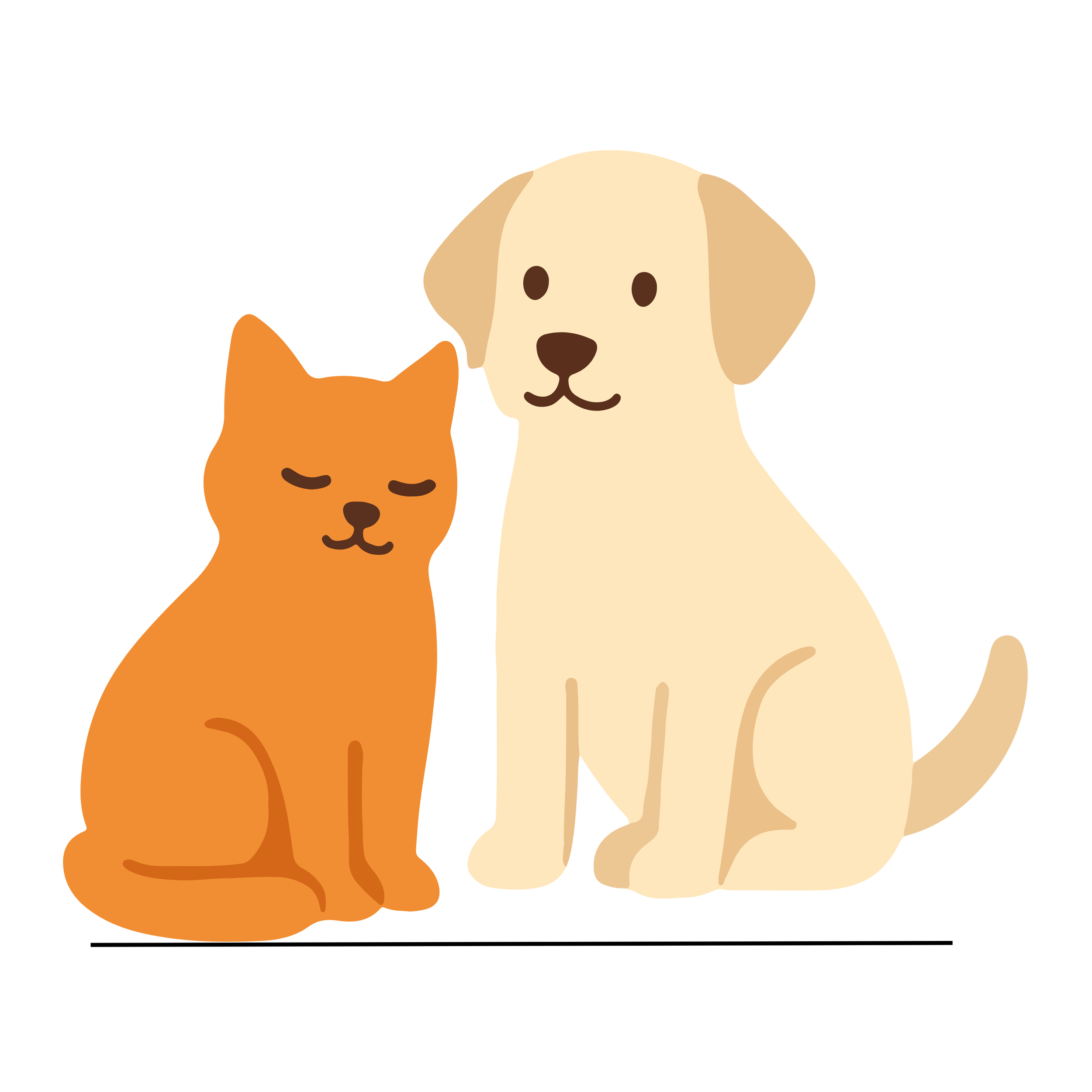 Sponsor an Animal.png