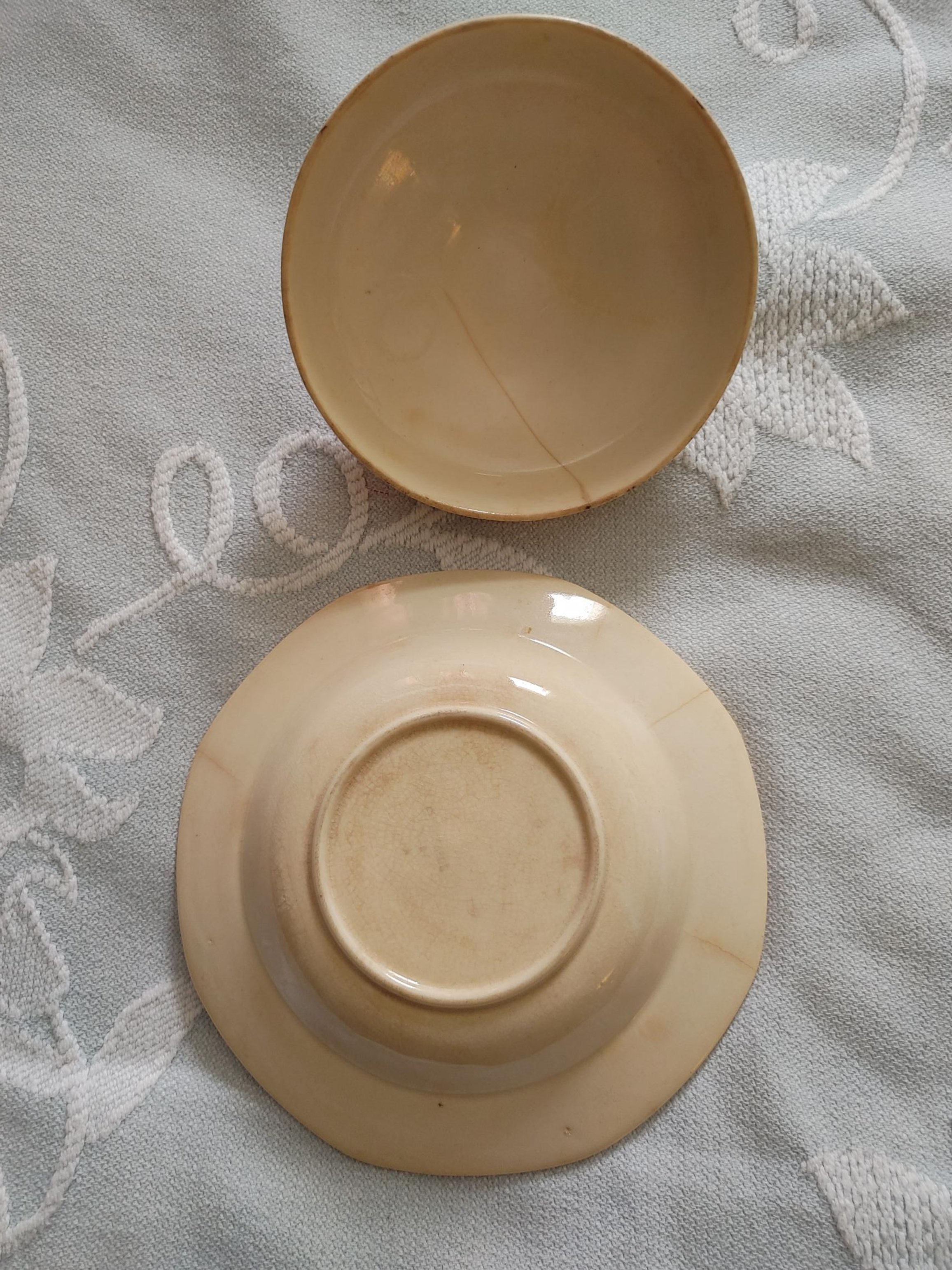 cloche4.jpg