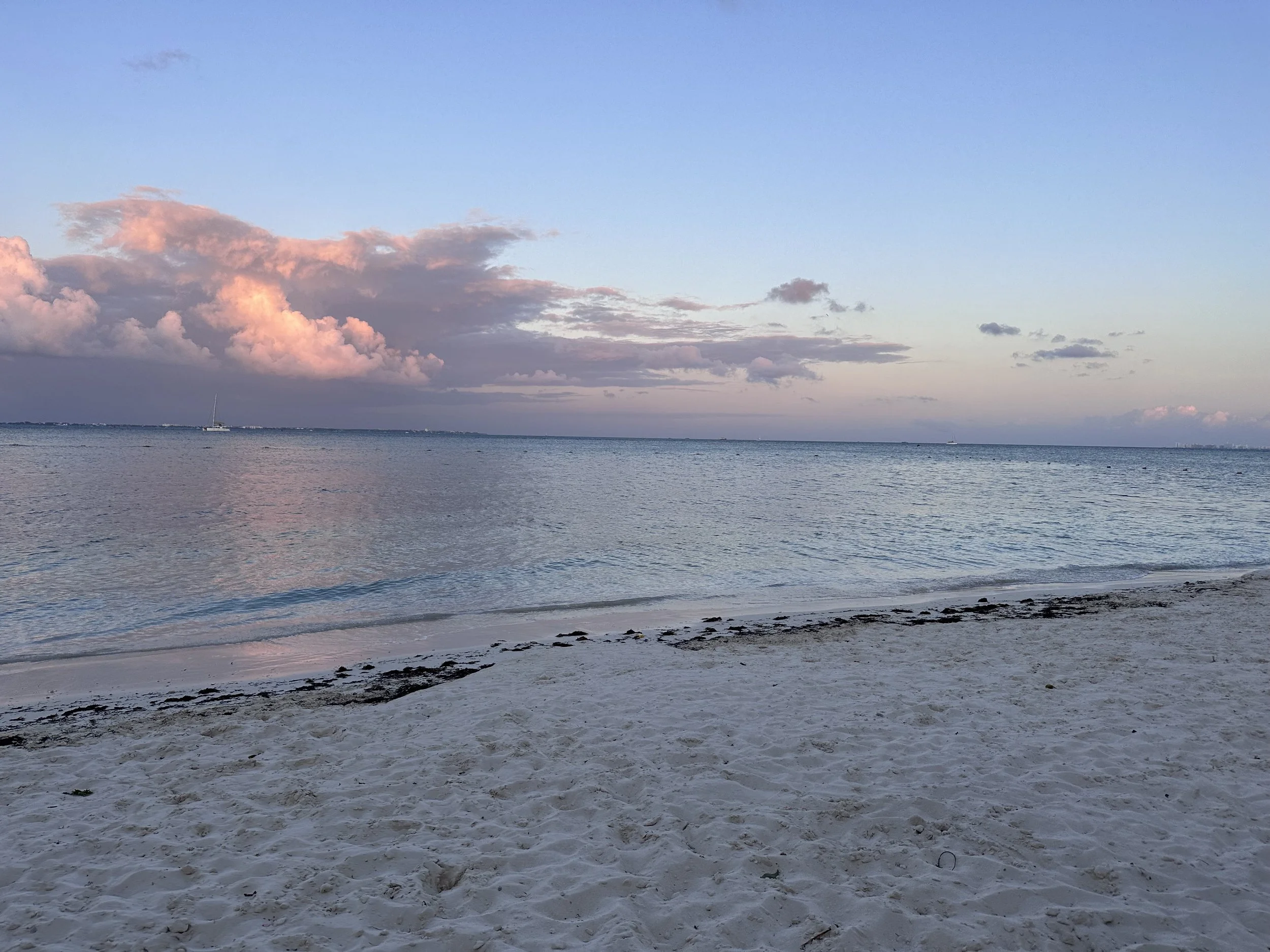 IMG_1209.jpeg