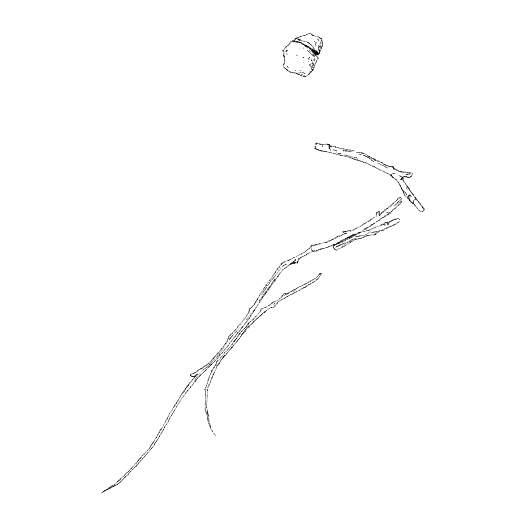 Untitled_Artwork 1602.png