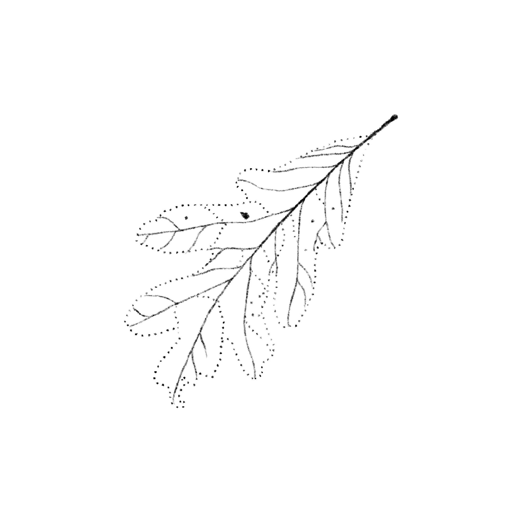 Untitled_Artwork 1557.PNG