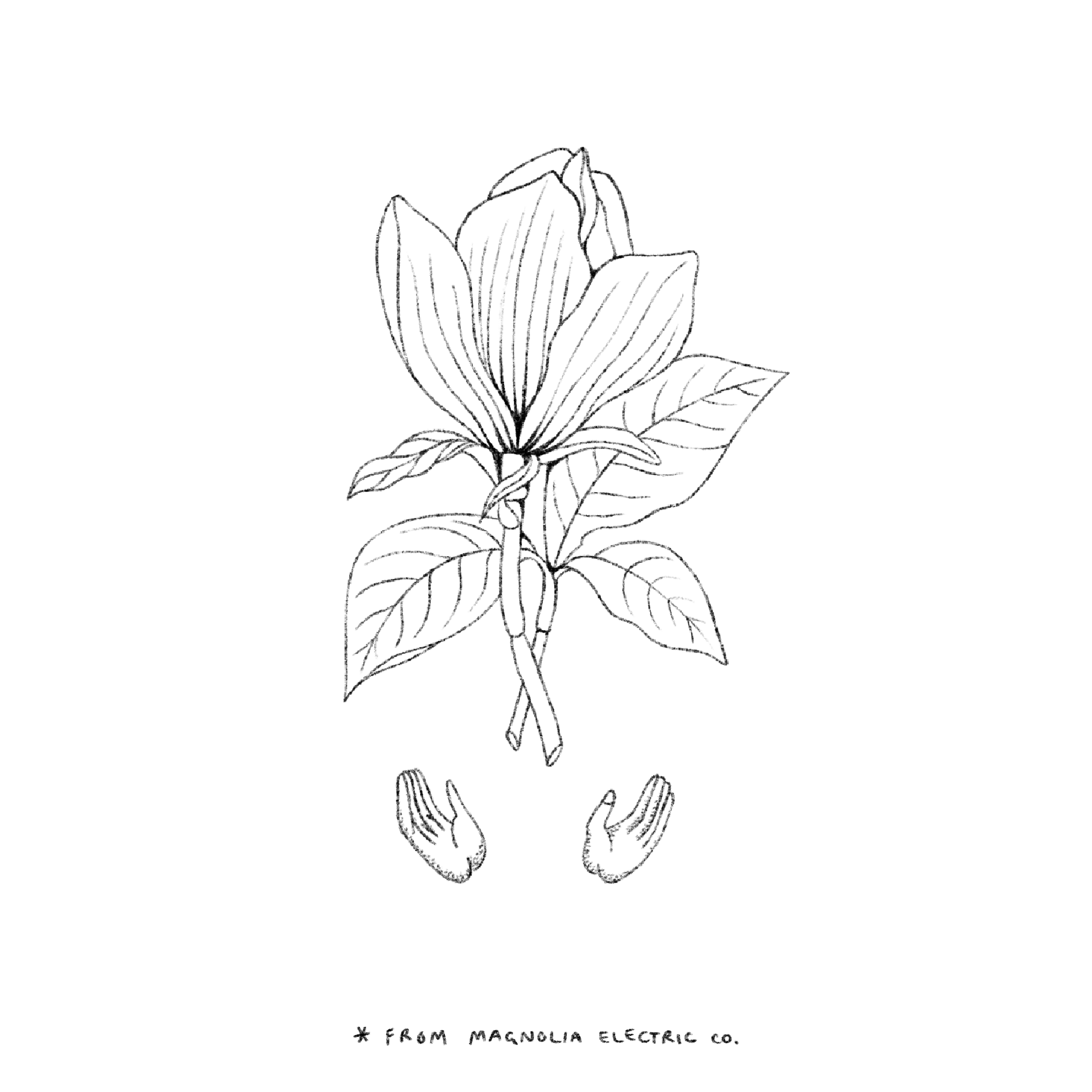 Untitled_Artwork 1601.png