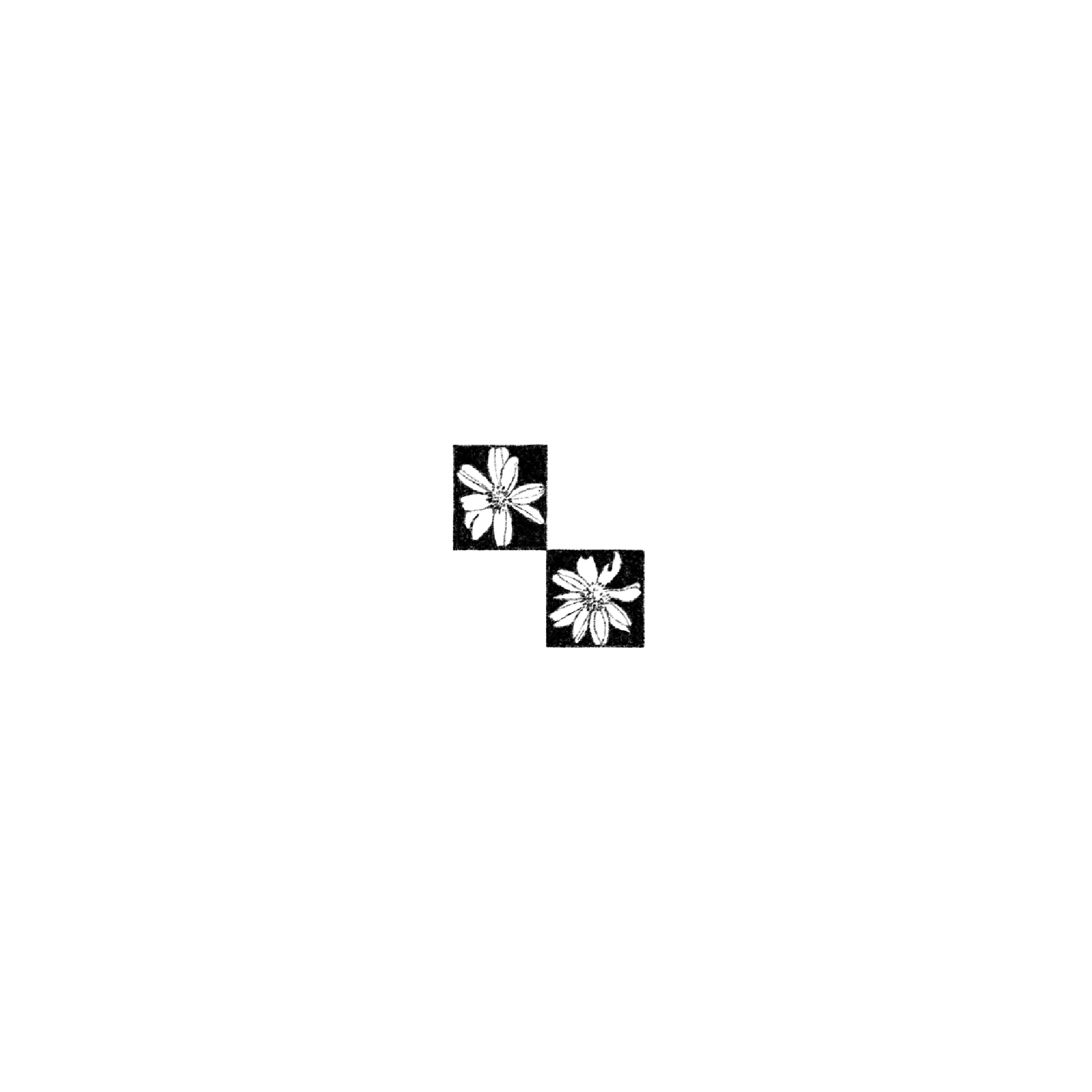 Untitled_Artwork 1564.png