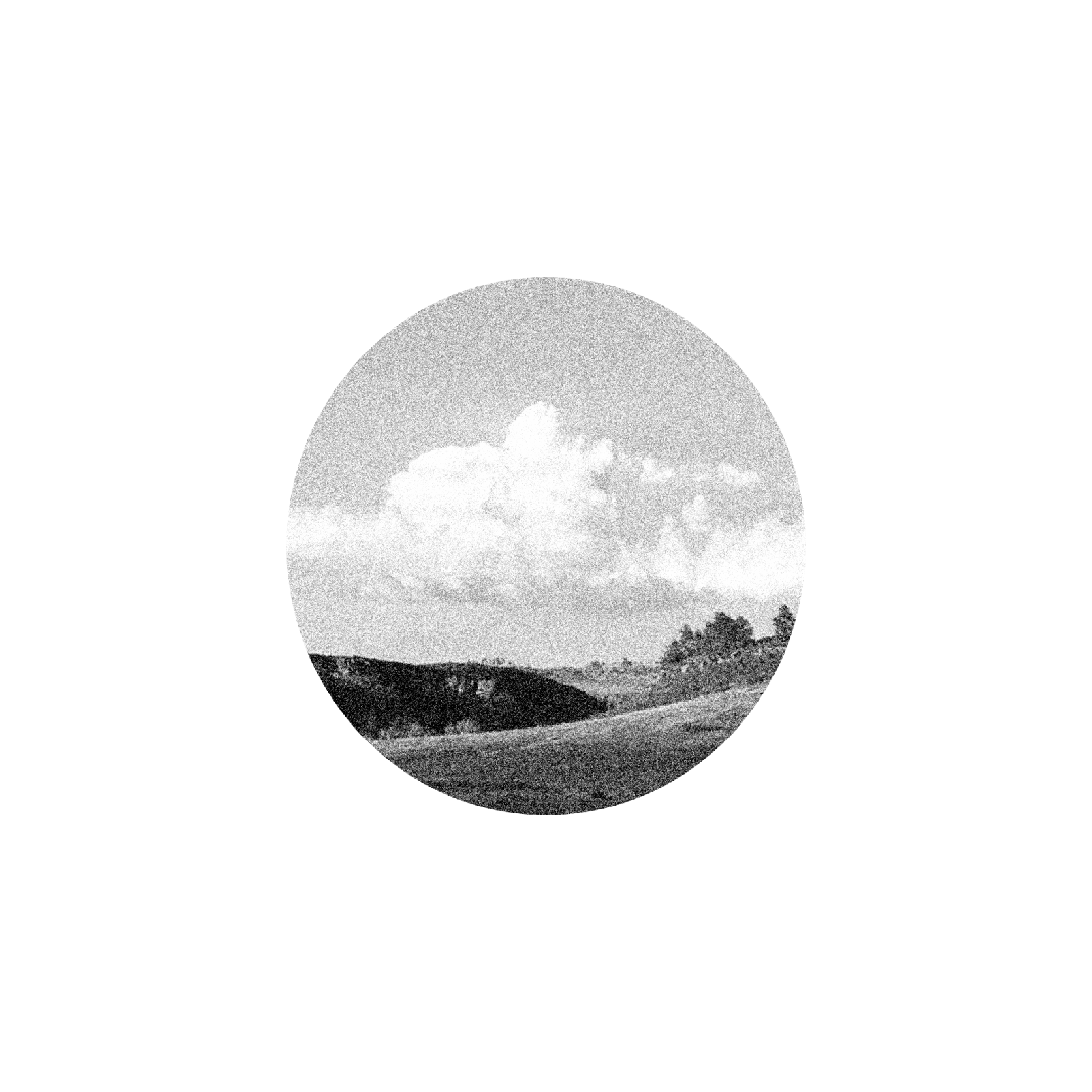 Untitled_Artwork 1596.png