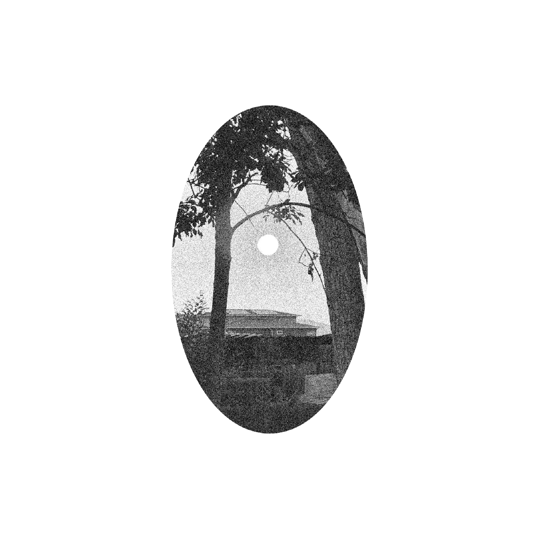Untitled_Artwork 1597.png