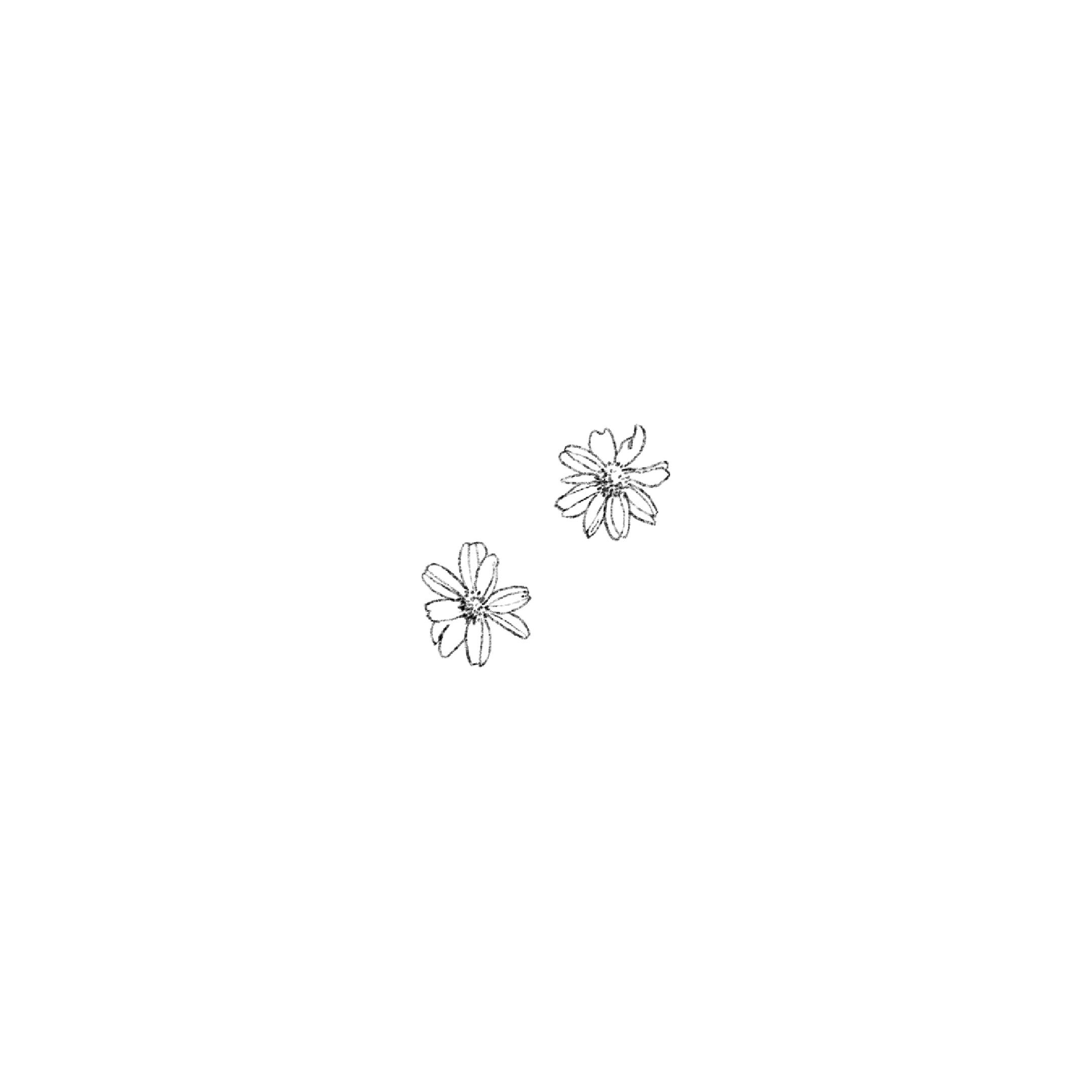 Untitled_Artwork 1563.png
