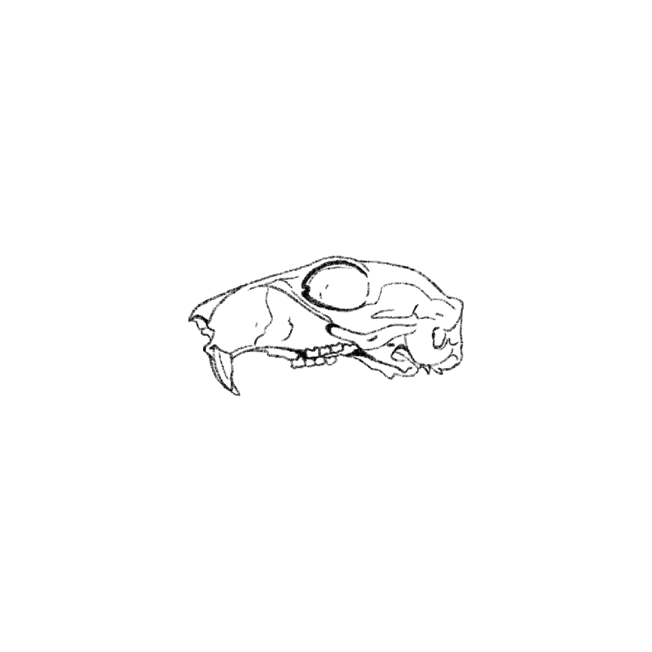 Untitled_Artwork 1587.png