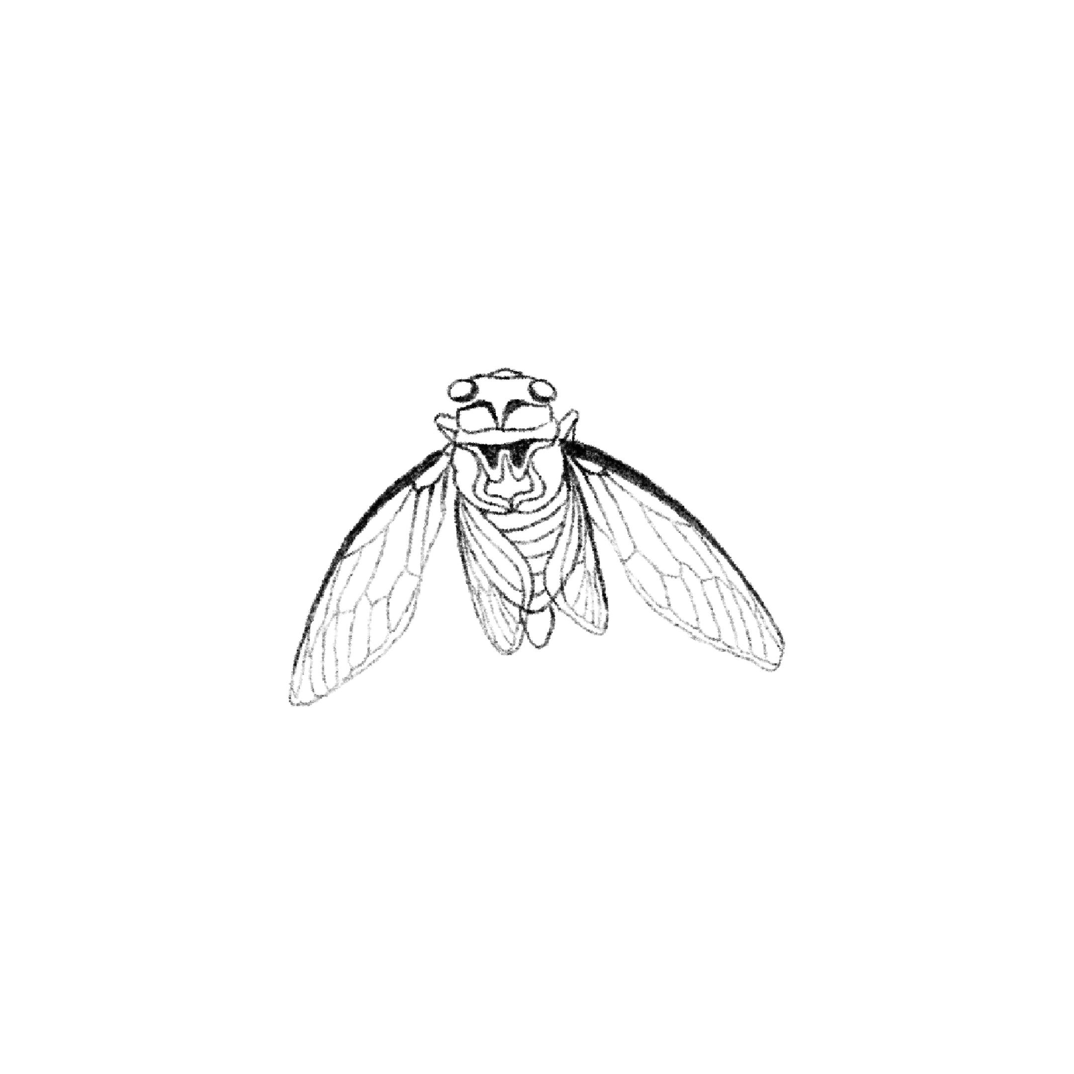 Untitled_Artwork 1589.png
