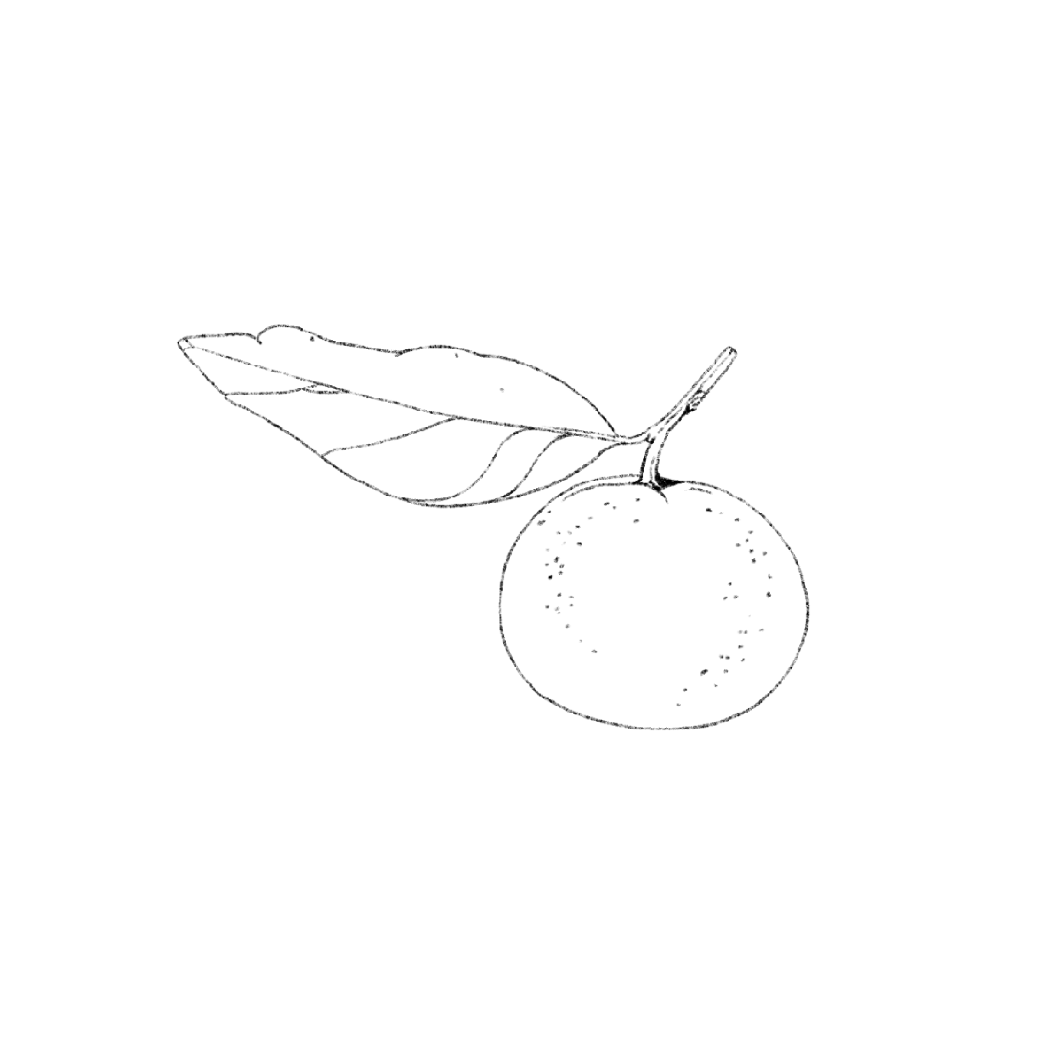 Untitled_Artwork 1560.PNG