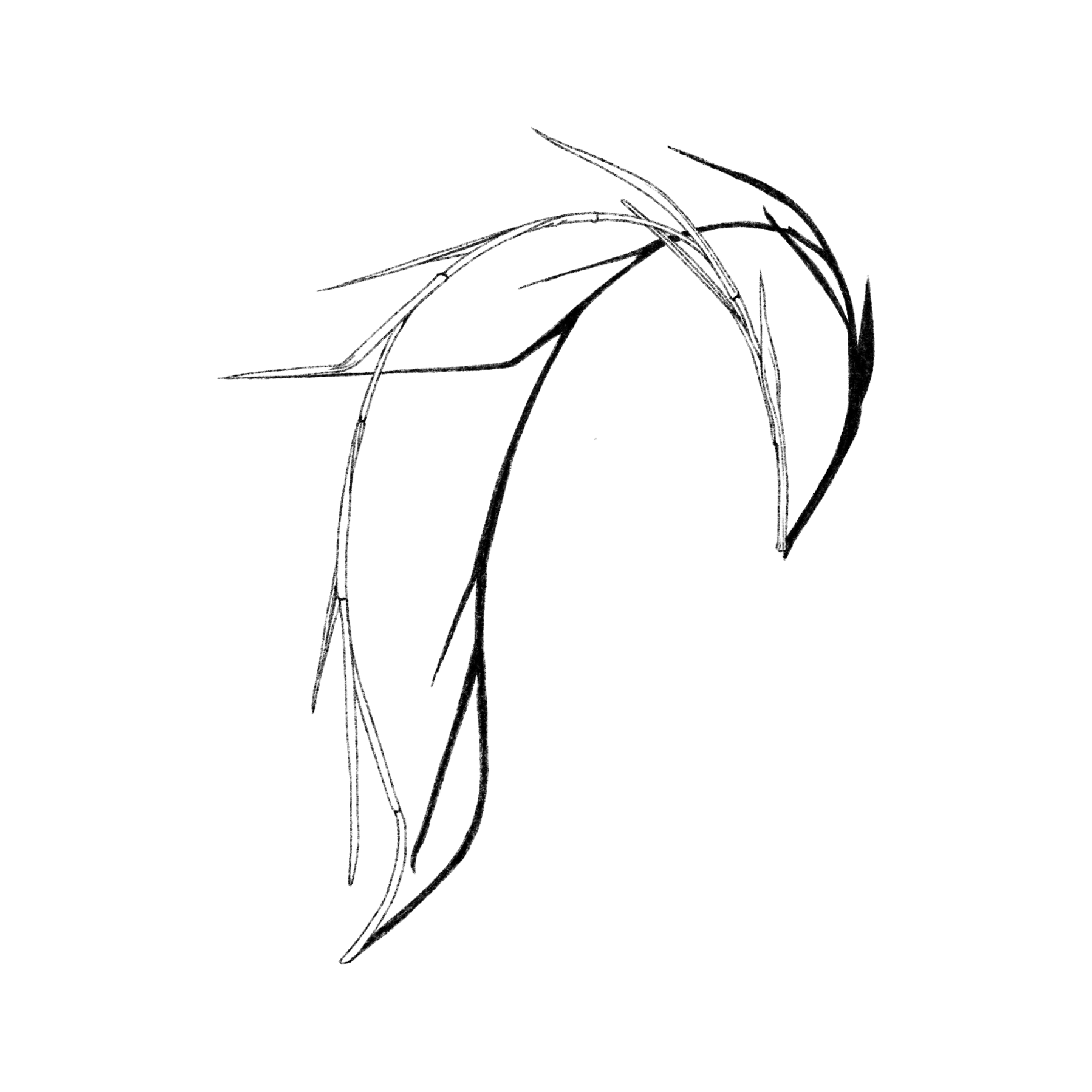 Untitled_Artwork 1579.png
