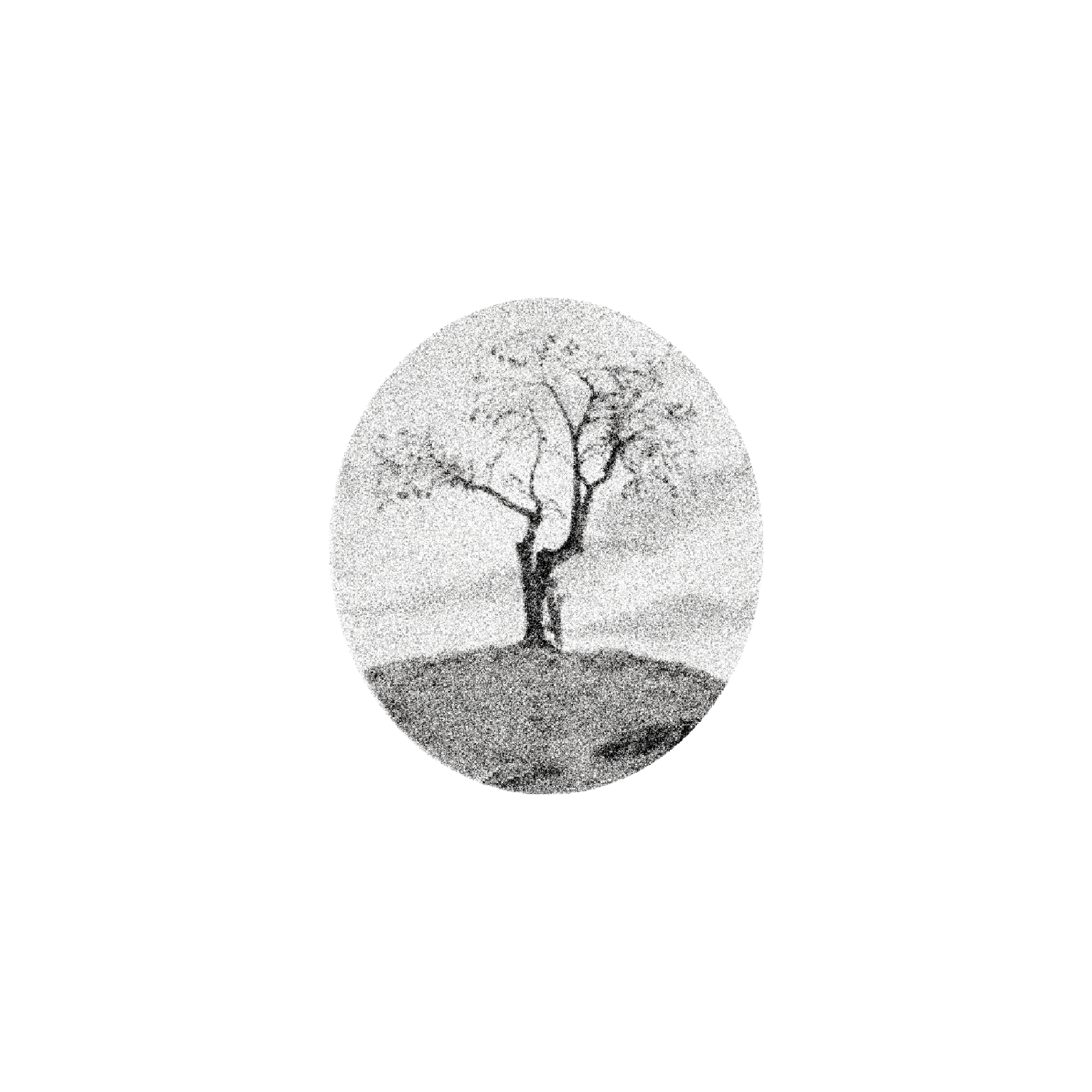 Untitled_Artwork 1592.png