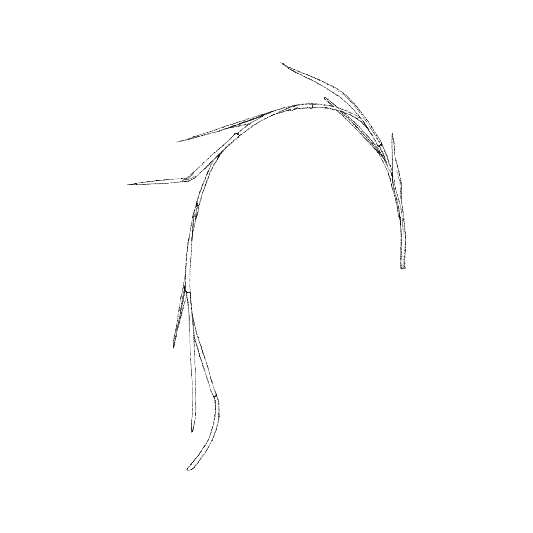 Untitled_Artwork 1578.png