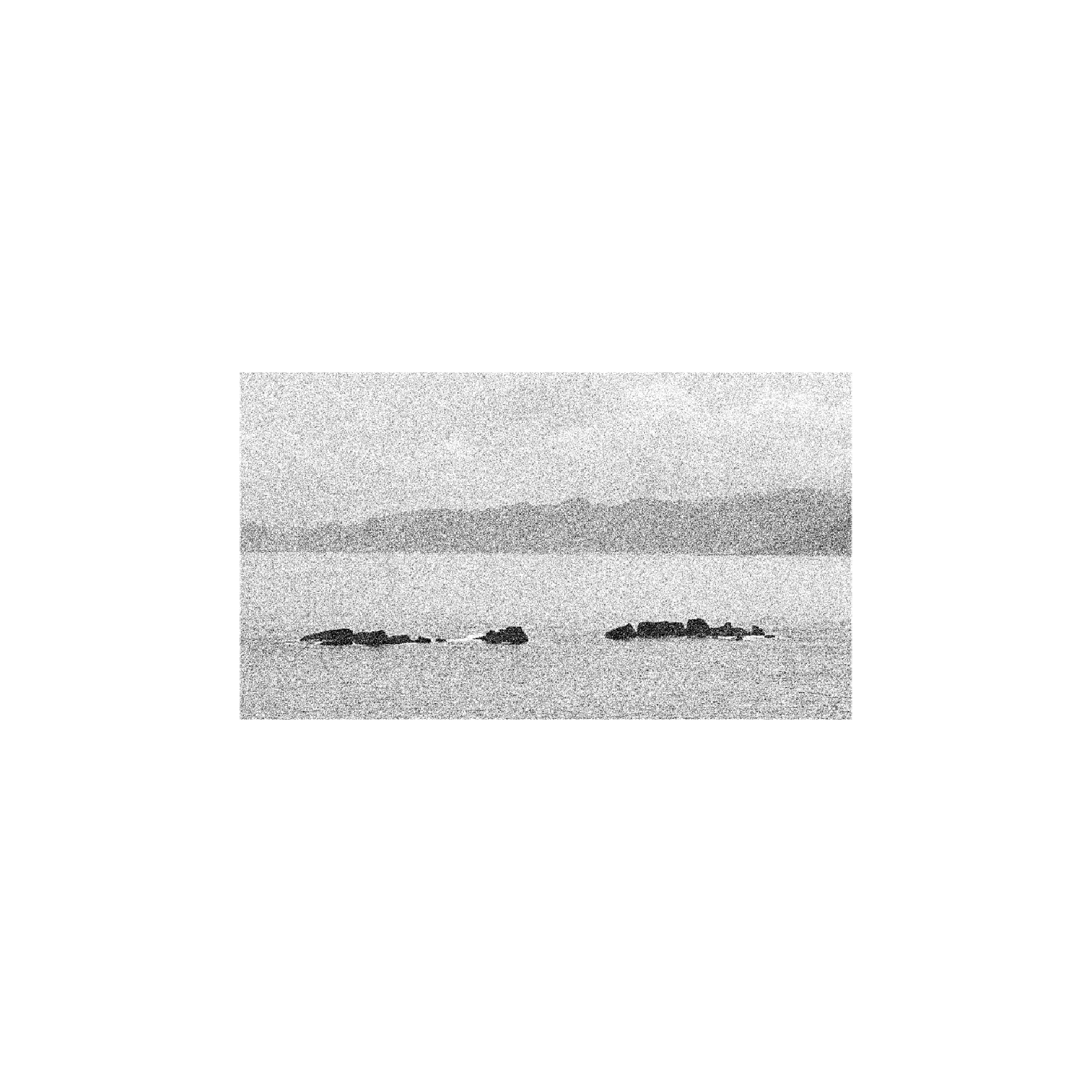 Untitled_Artwork 1599.png