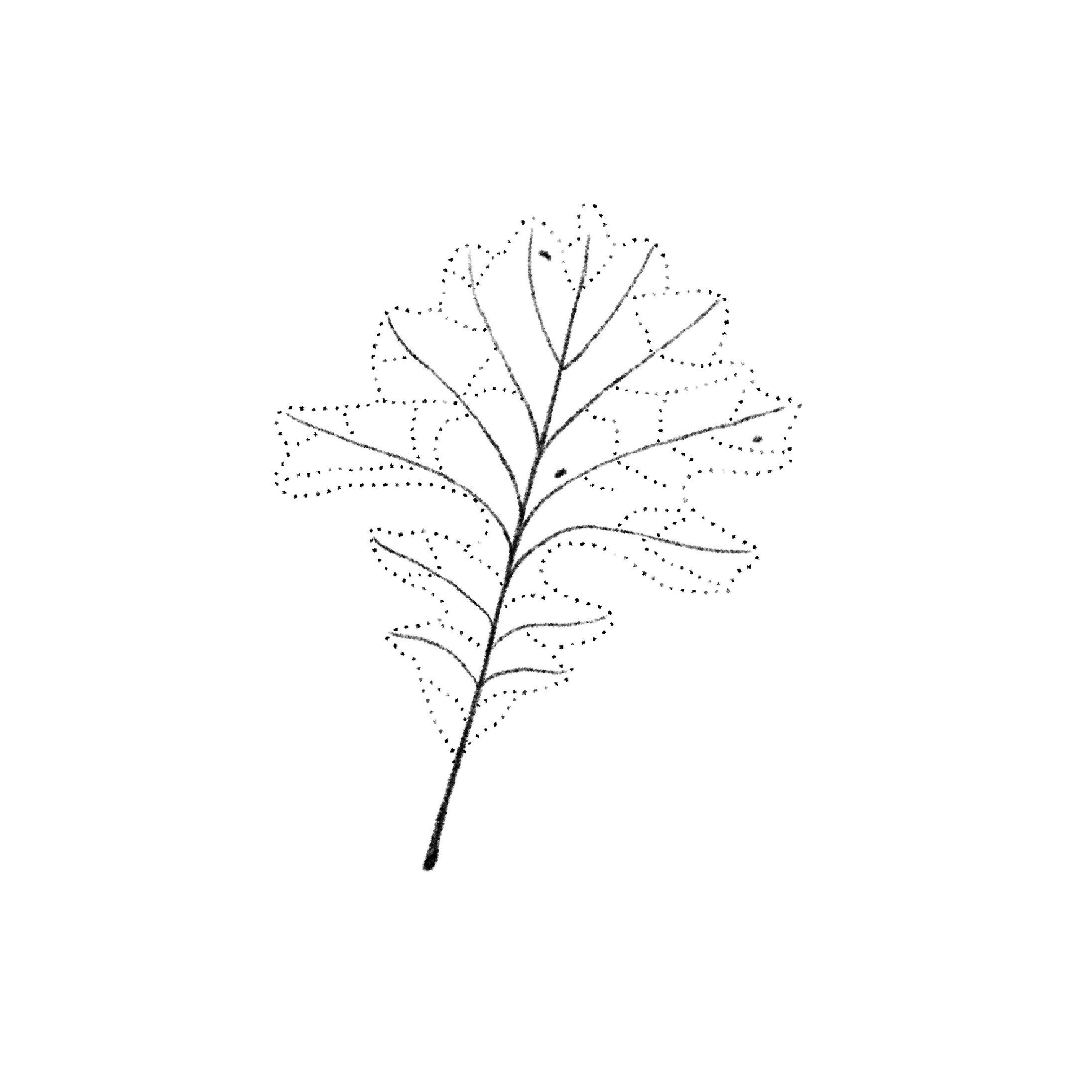 Untitled_Artwork 1590.png