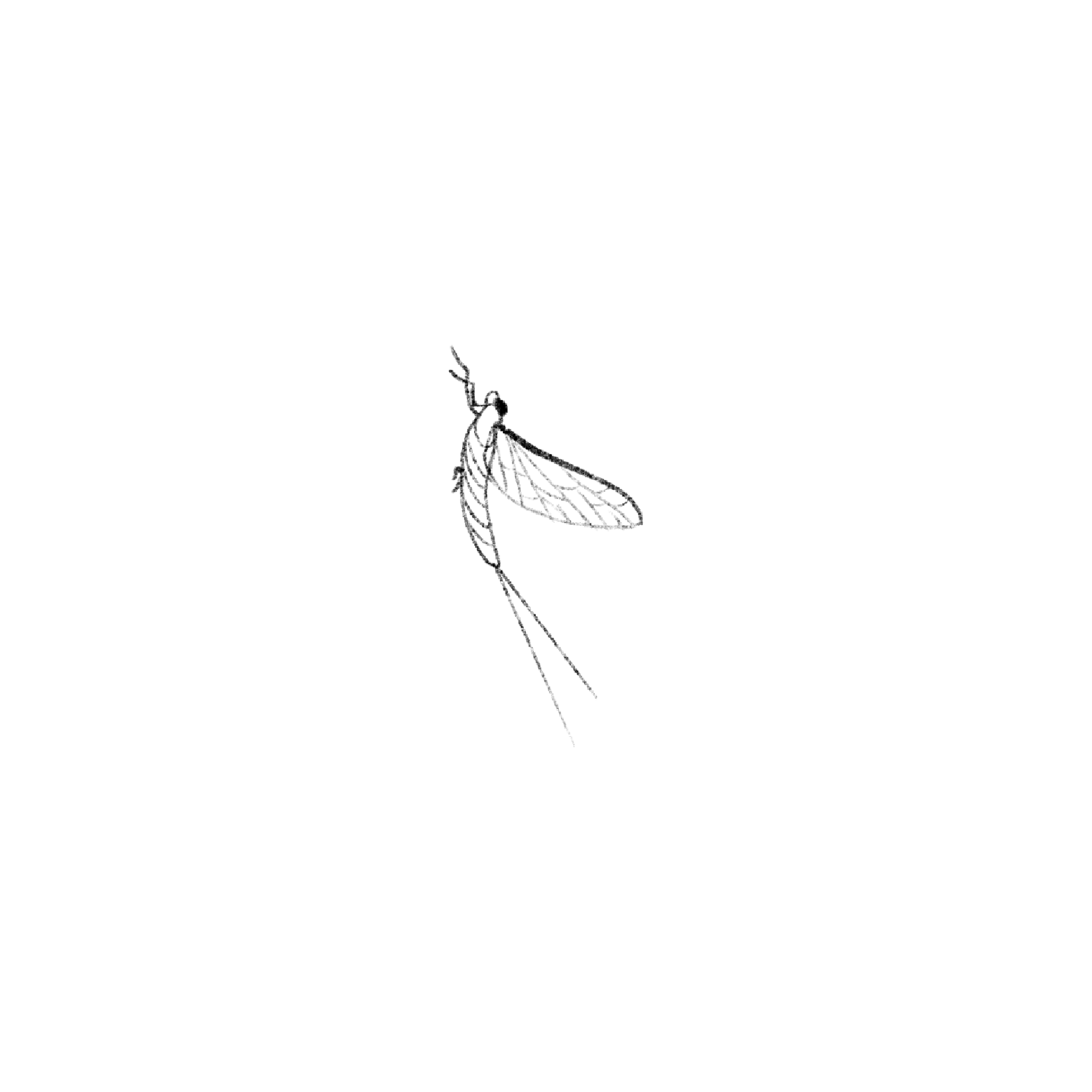 Untitled_Artwork 1586.png
