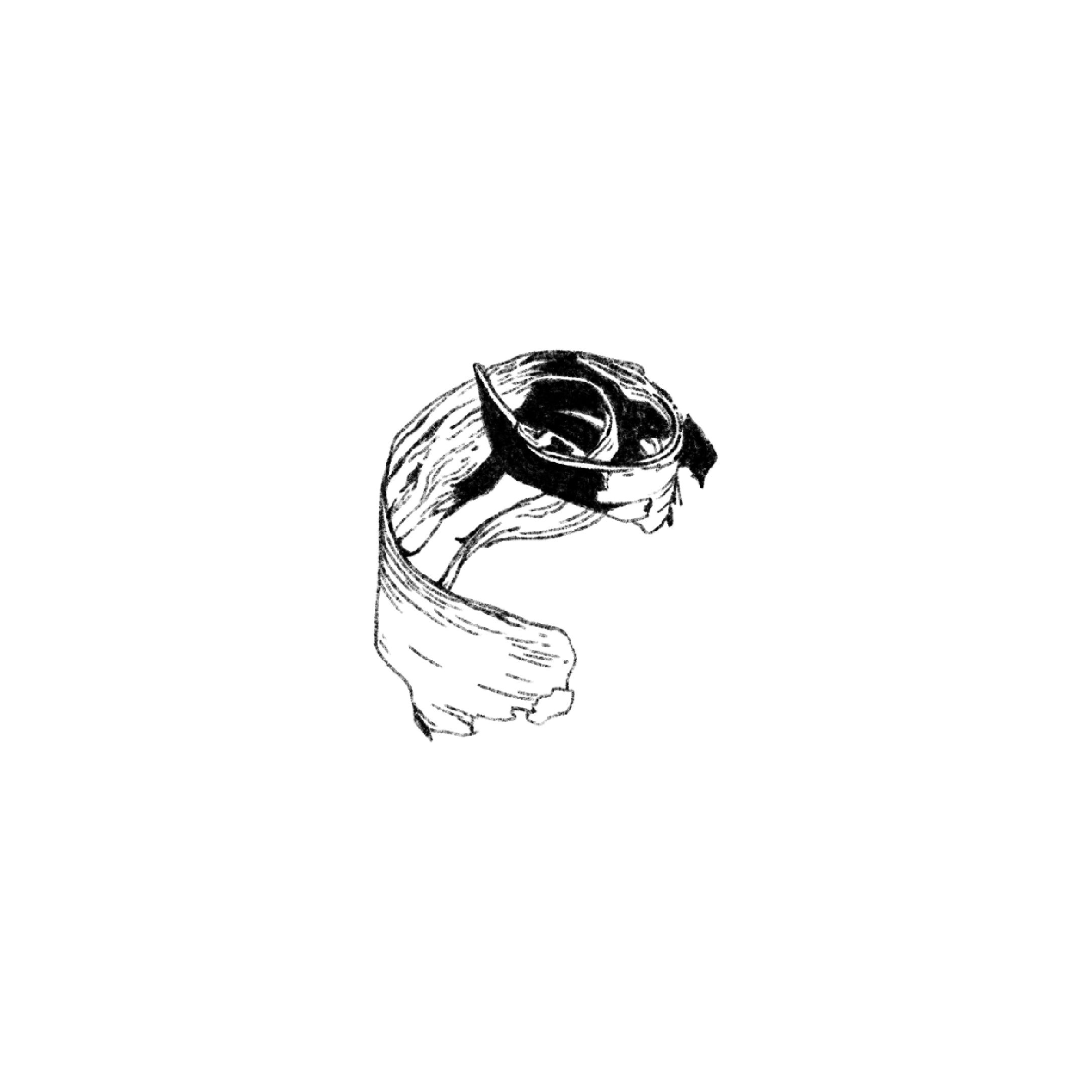 Untitled_Artwork 1576.png