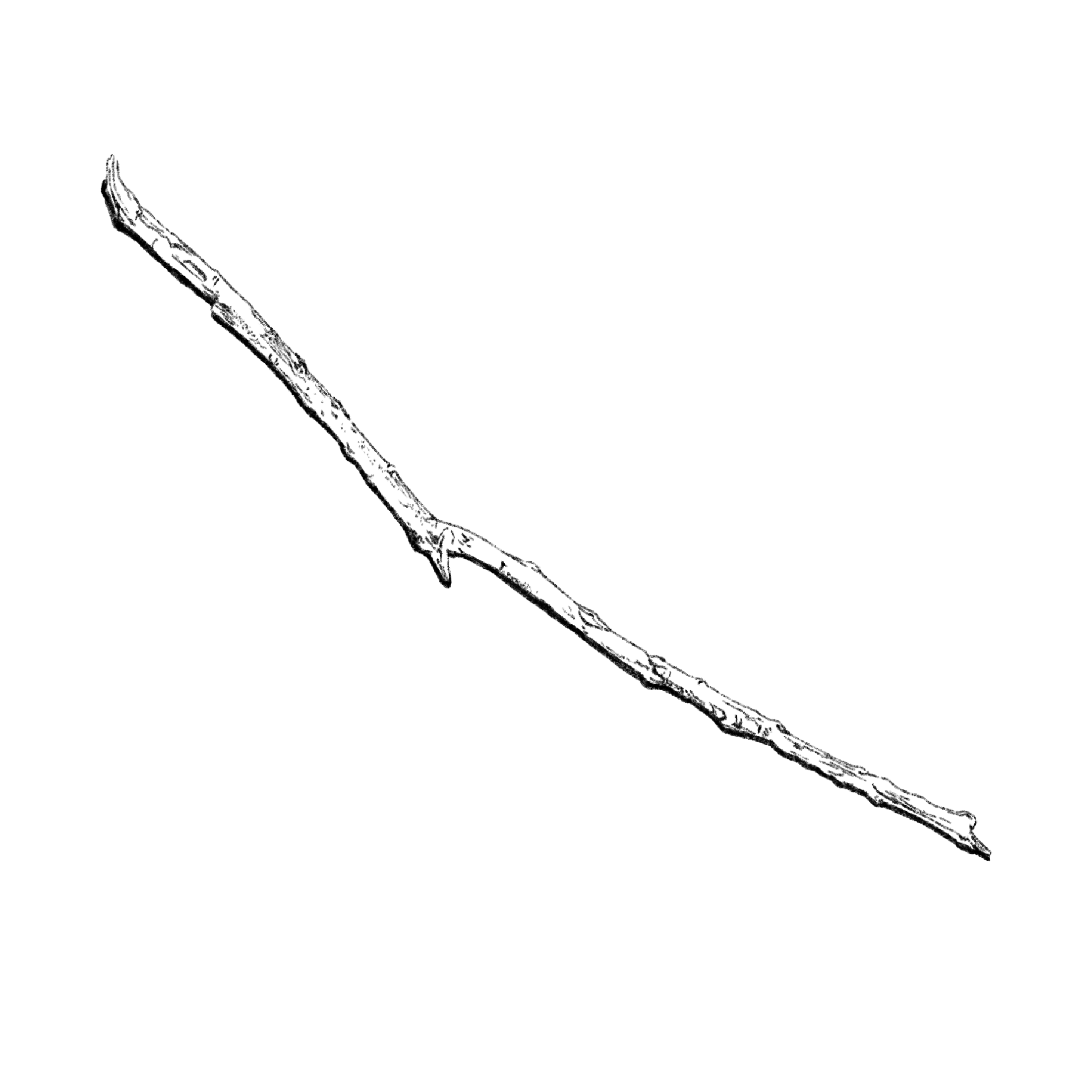 Untitled_Artwork 1566.png