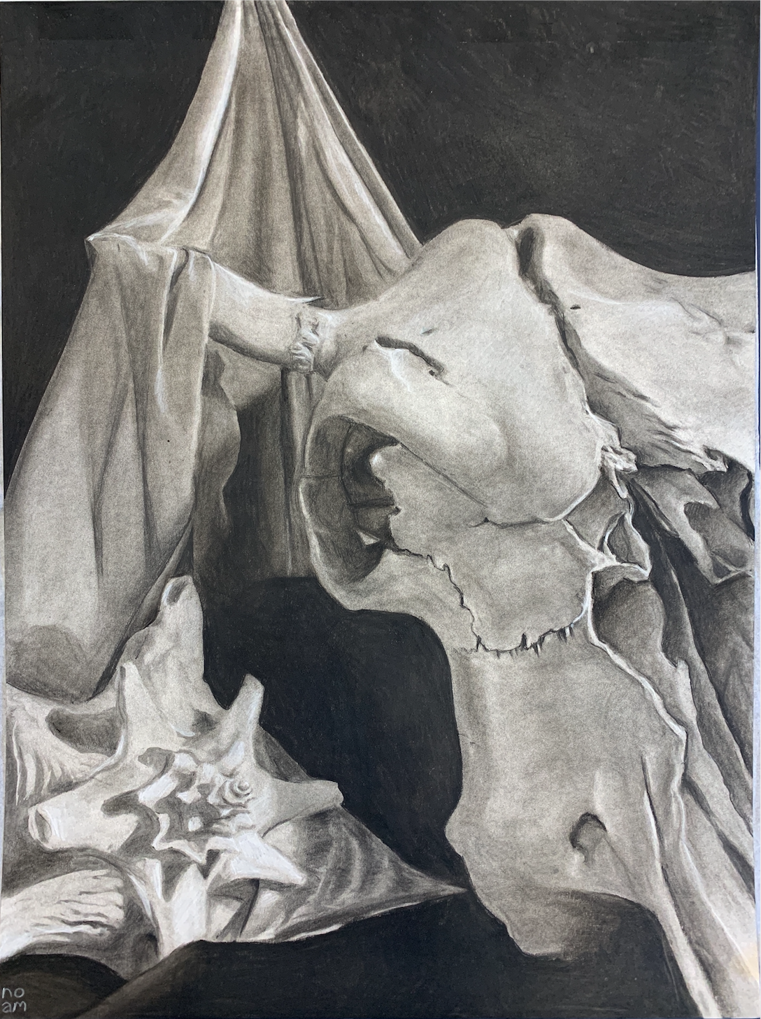 Still Life Drawing .png