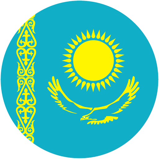 Icon Flag Kazakhstan