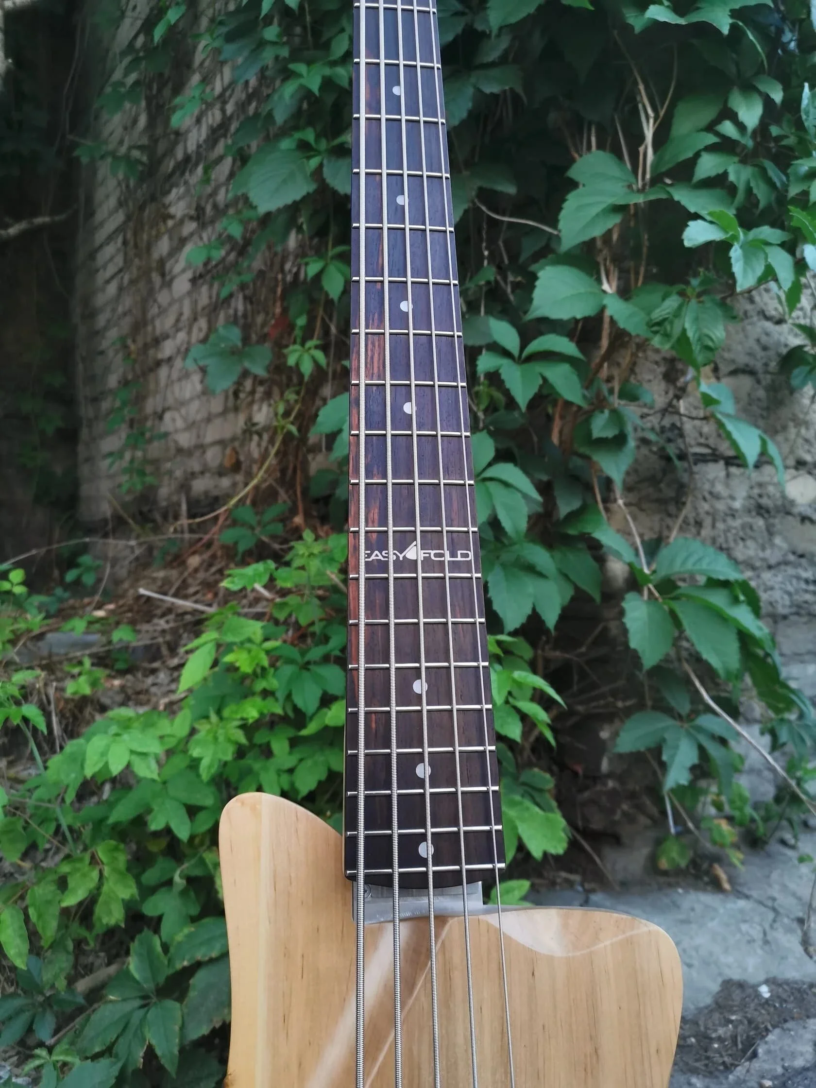 EF Bass Modern Pro 5 (4).jpg
