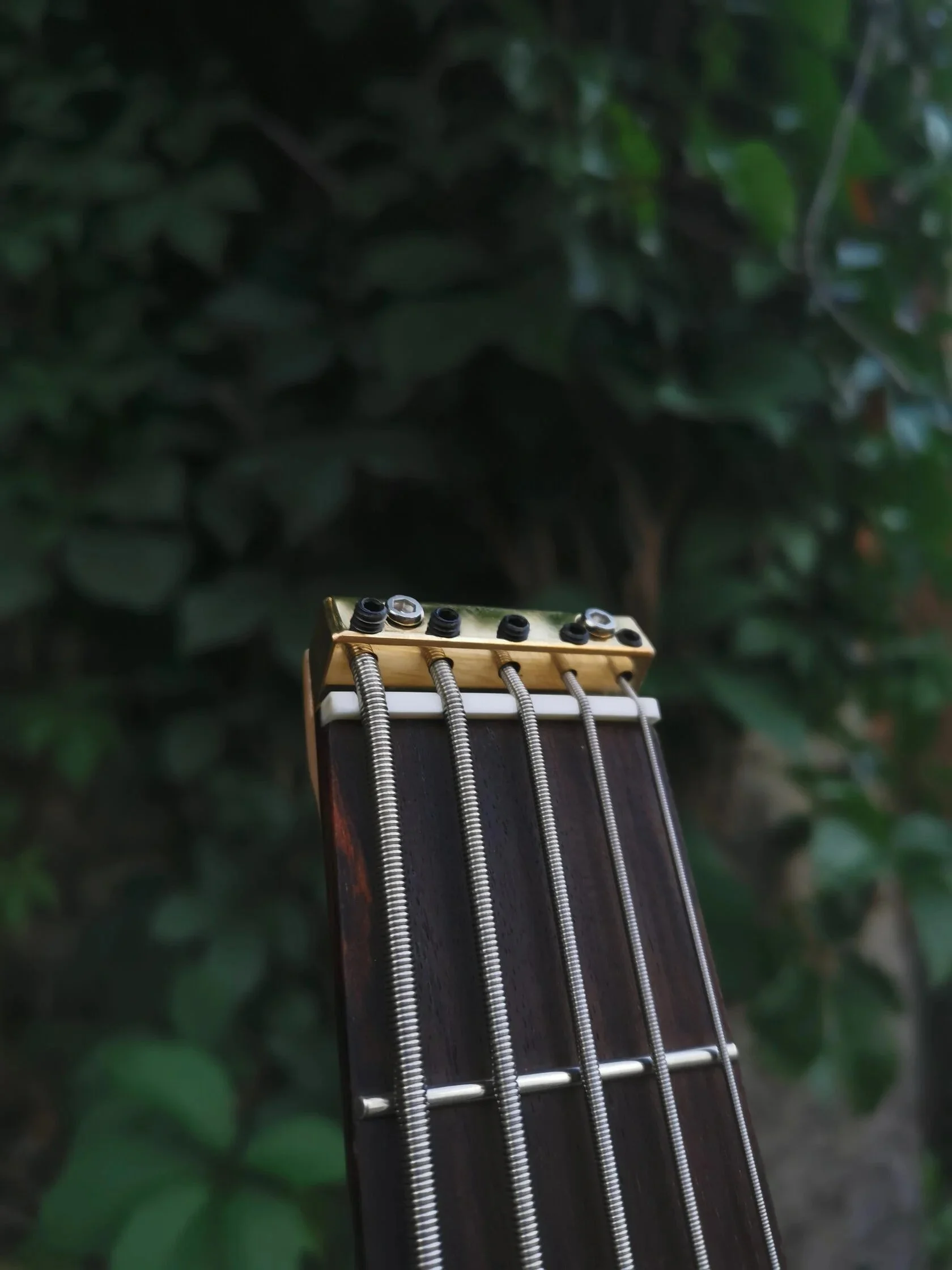 EF Bass Modern Pro 5 (3).jpg