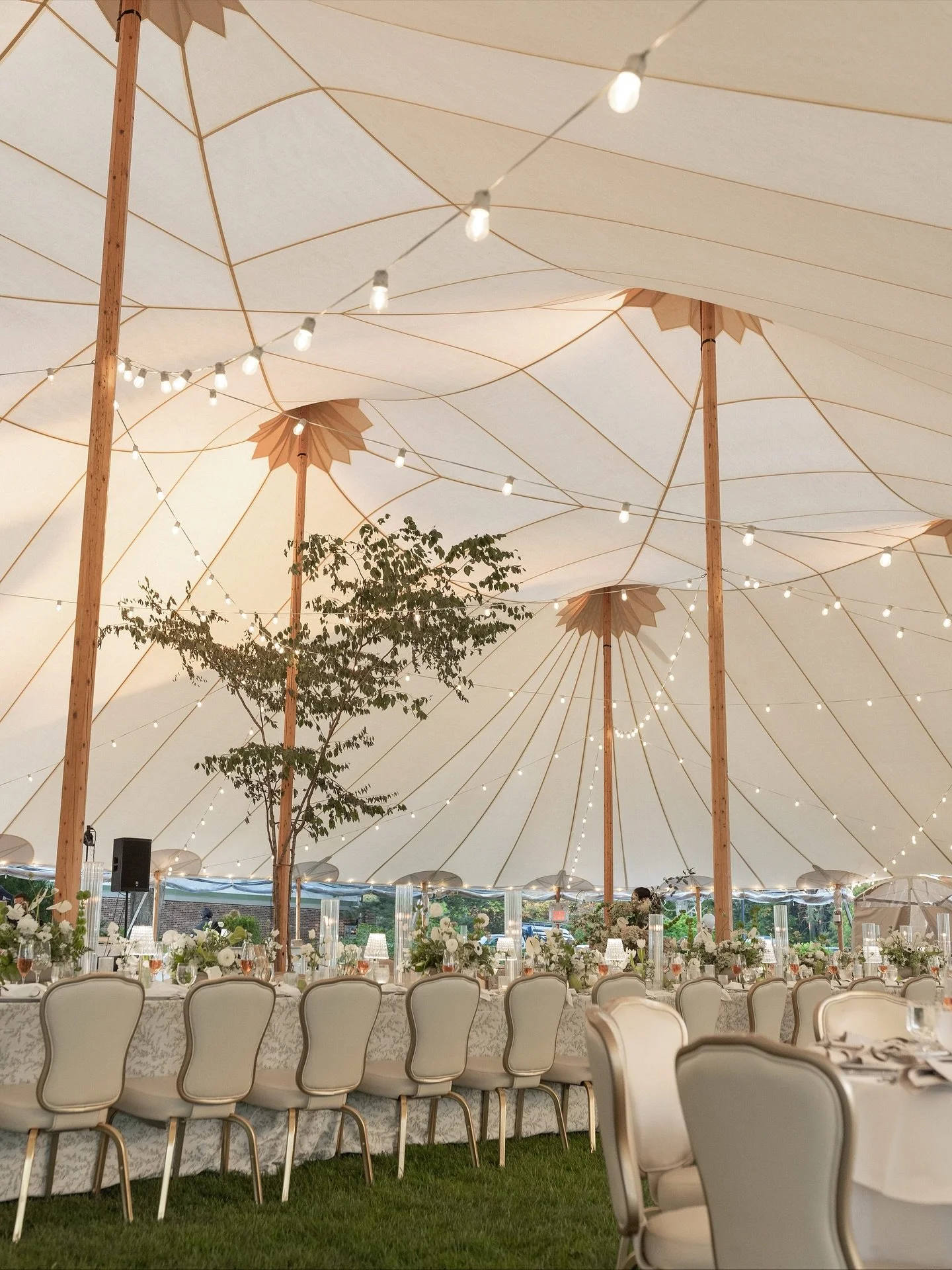 The bride asked for trees in the wedding tent, so we gave her trees in the wedding tent 🌿

Wedding Planner &amp; Designer - @fondlyfriedaevents
Photographer - @amanda_gillianphoto
Content Creator - @everaftersocial.co
Florist - @wilddahlia_
Tent, Da