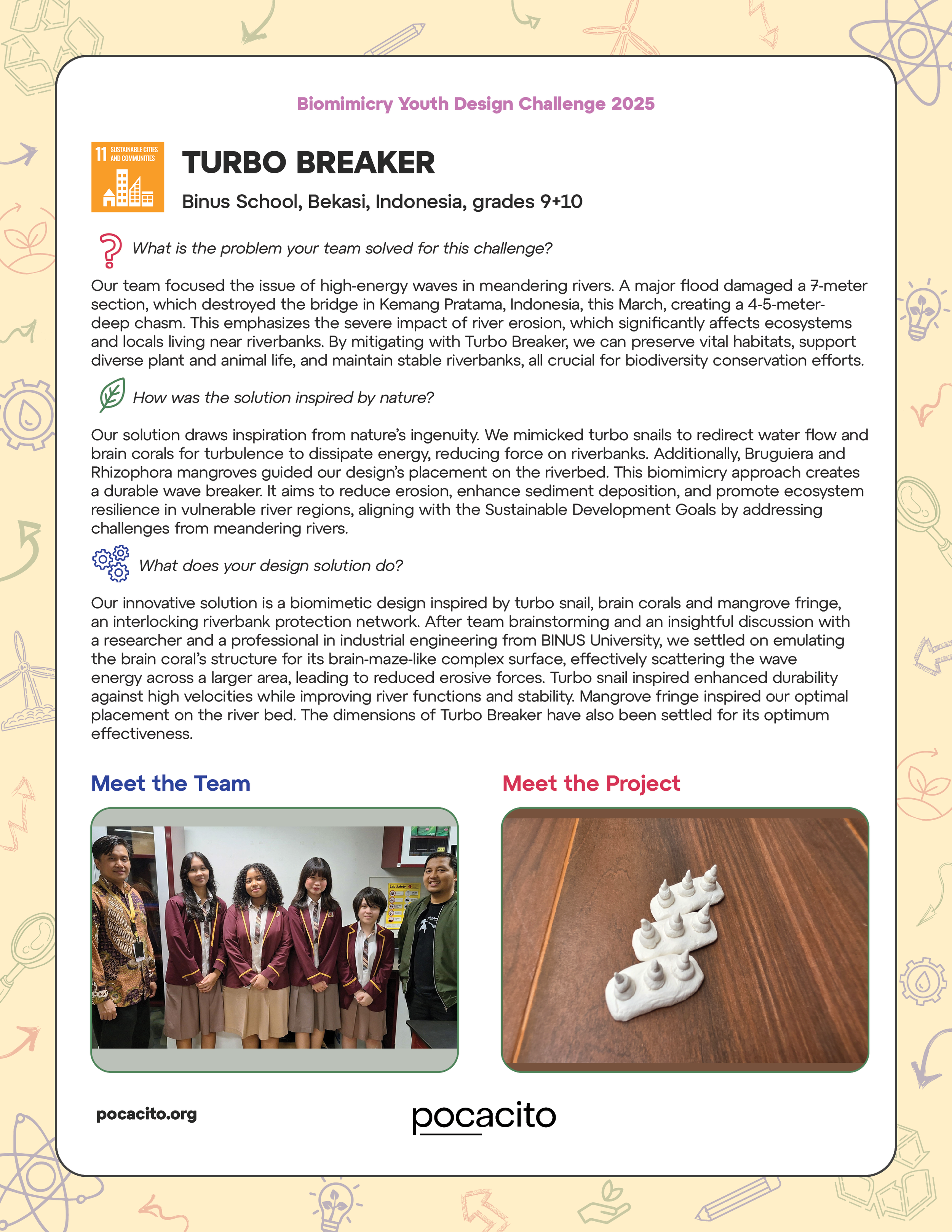 Pocacito Biomimicry Posters19.png