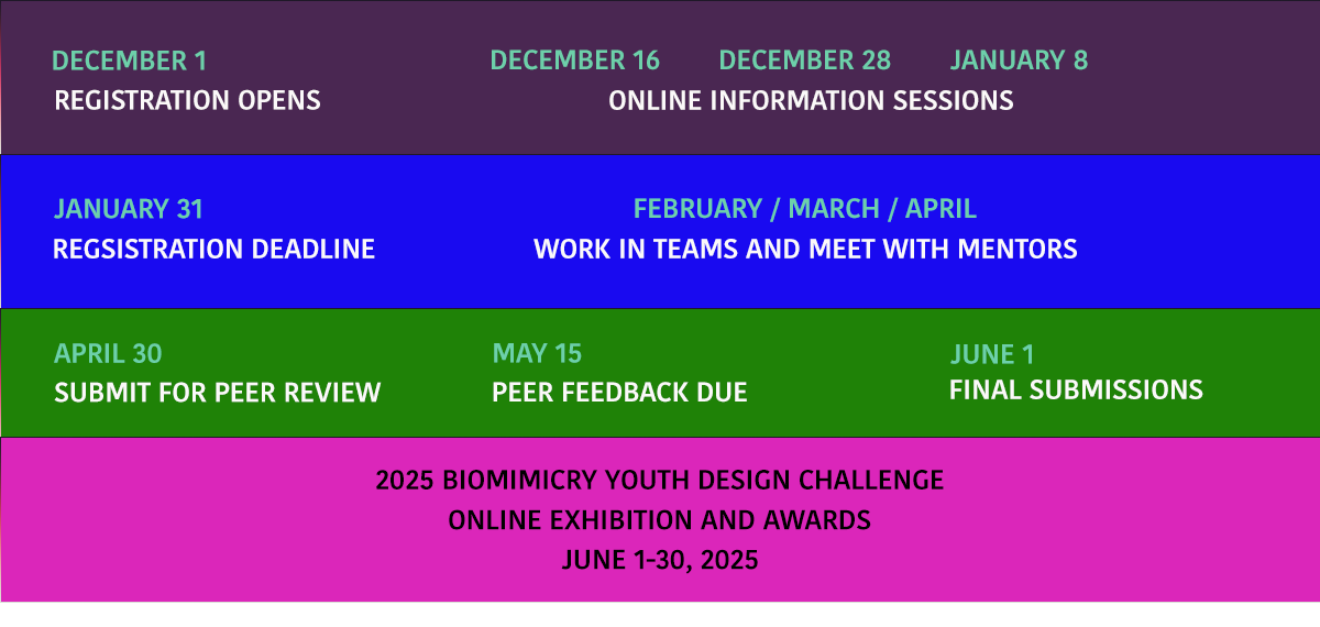 challenge-details-biomimicry-youth-design-challenge
