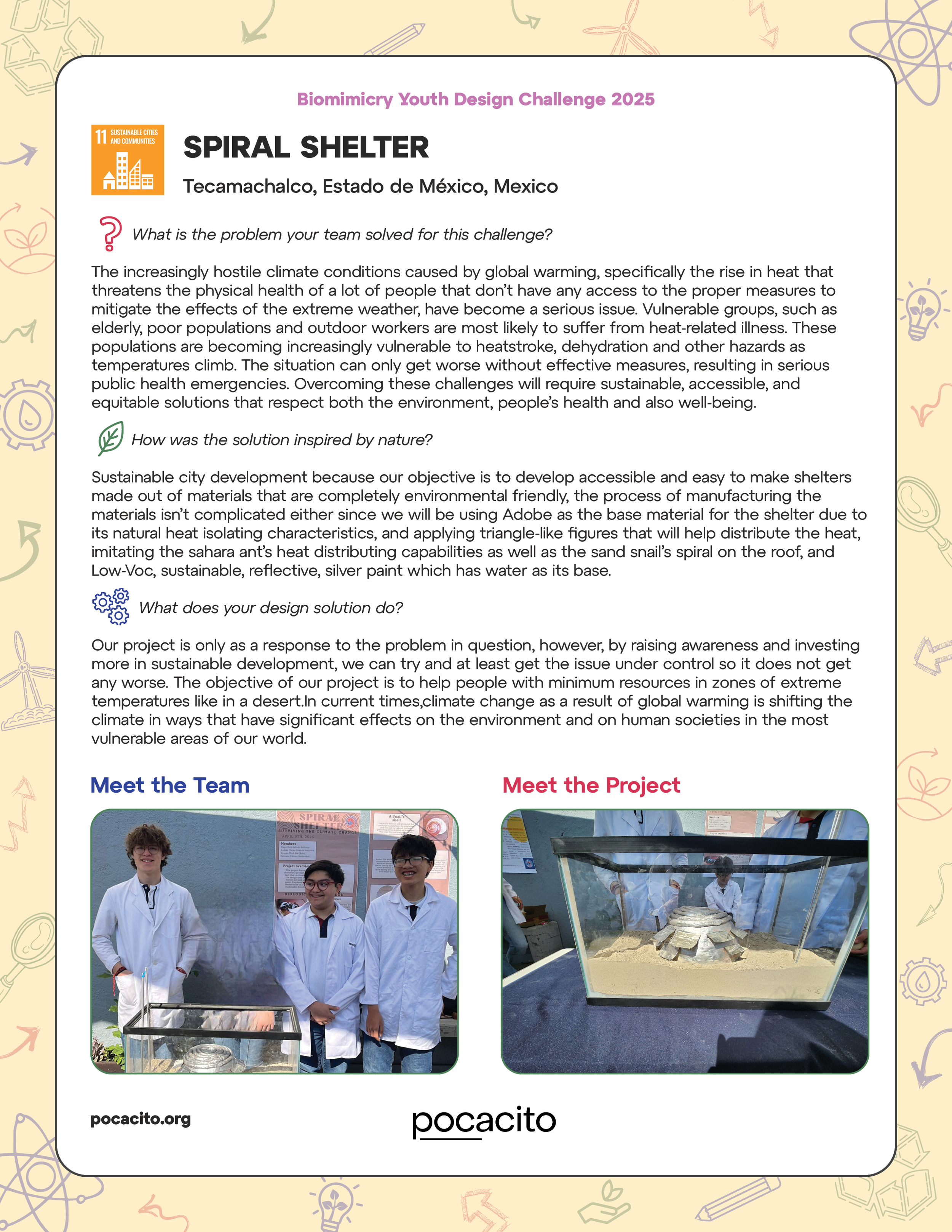 Pocacito Biomimicry Posters33.png