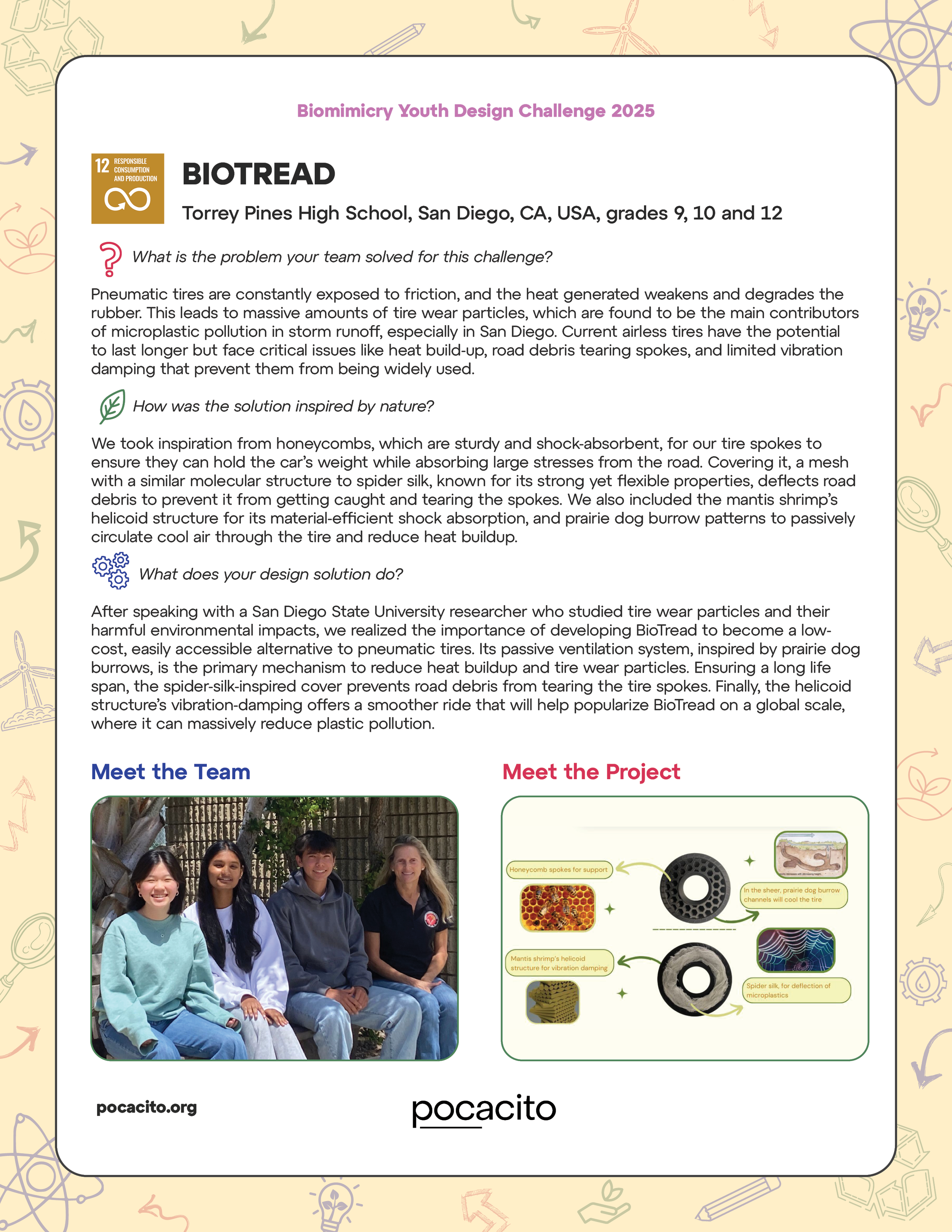 Pocacito Biomimicry Posters21.png