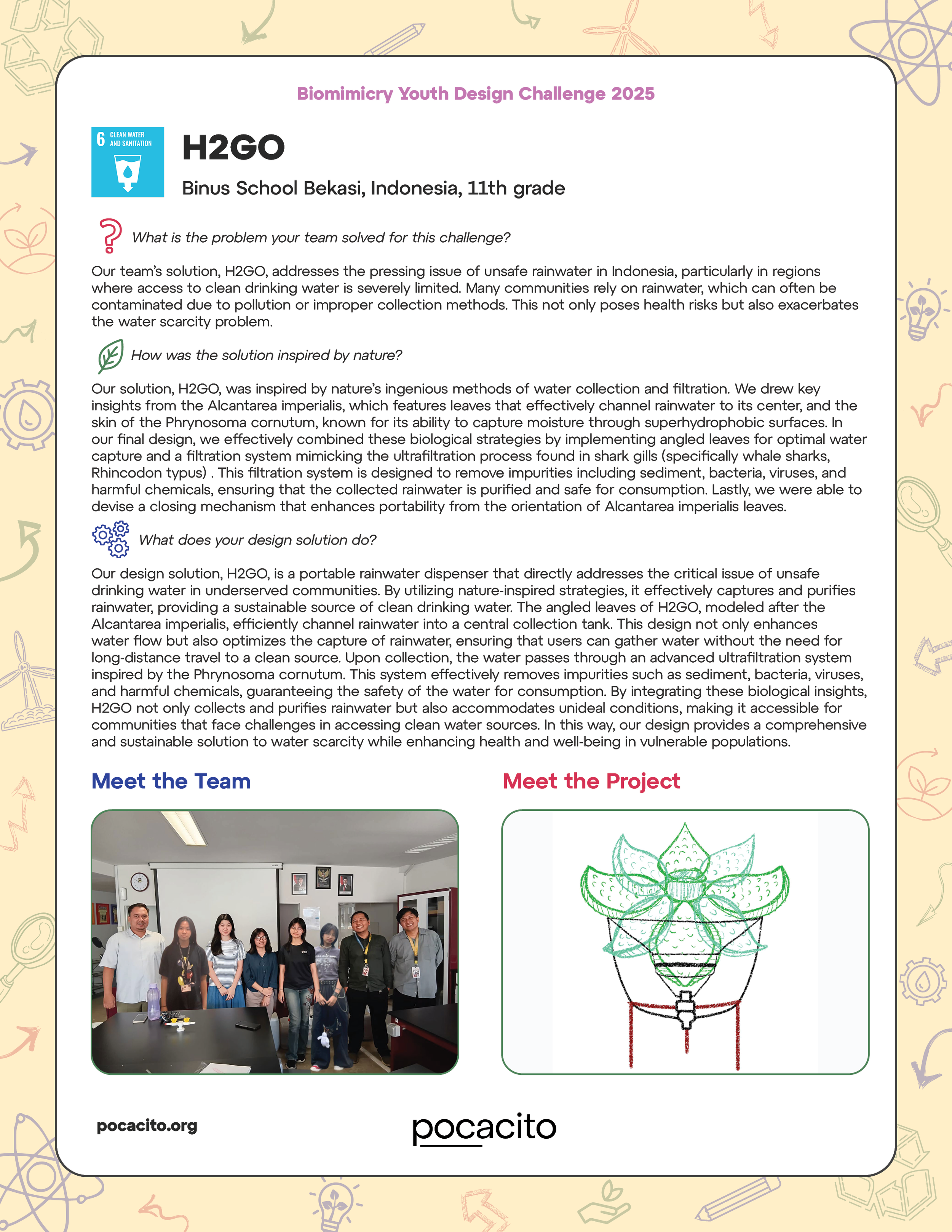 Pocacito Biomimicry Posters11.png
