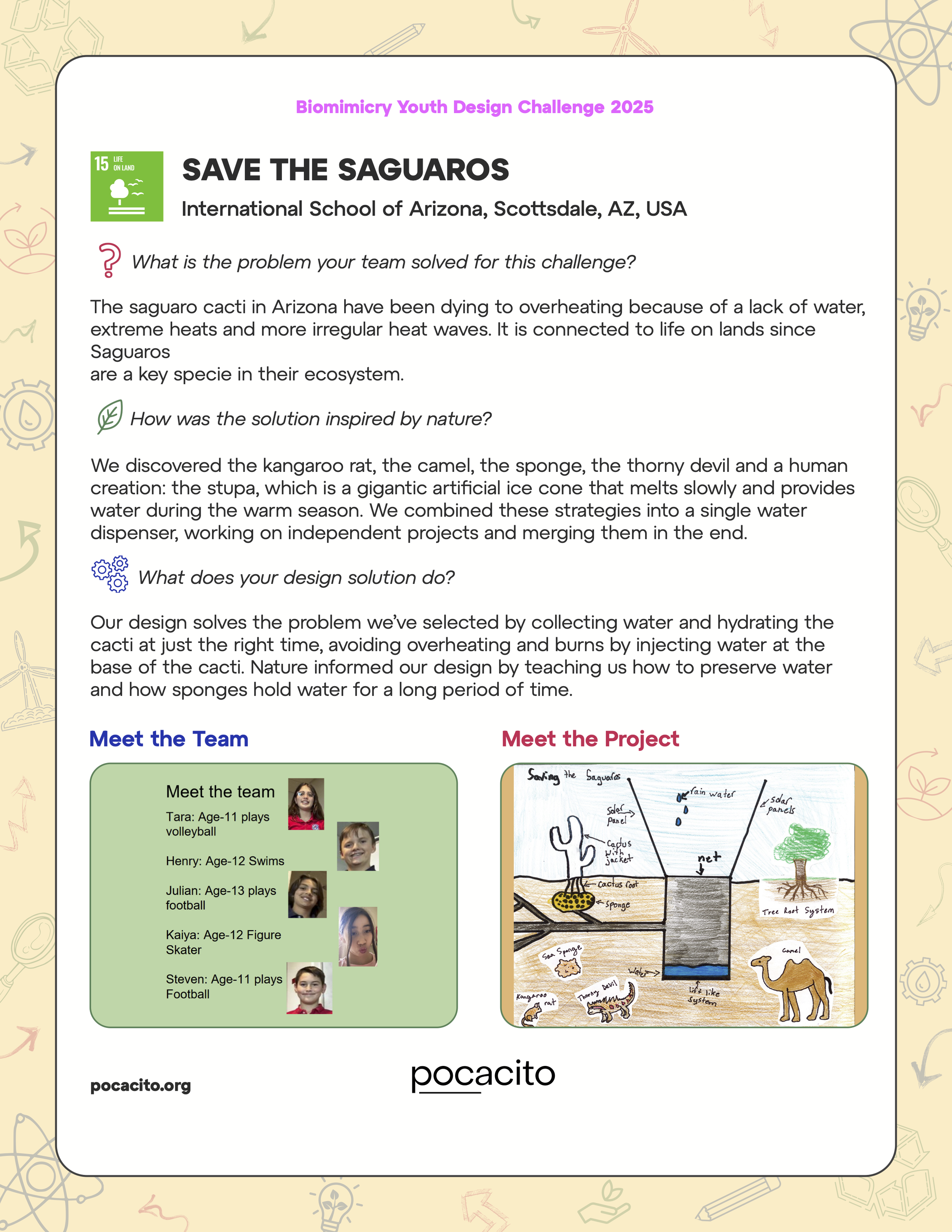 44_PDFsam_Pocacito Biomimicry Posters.png