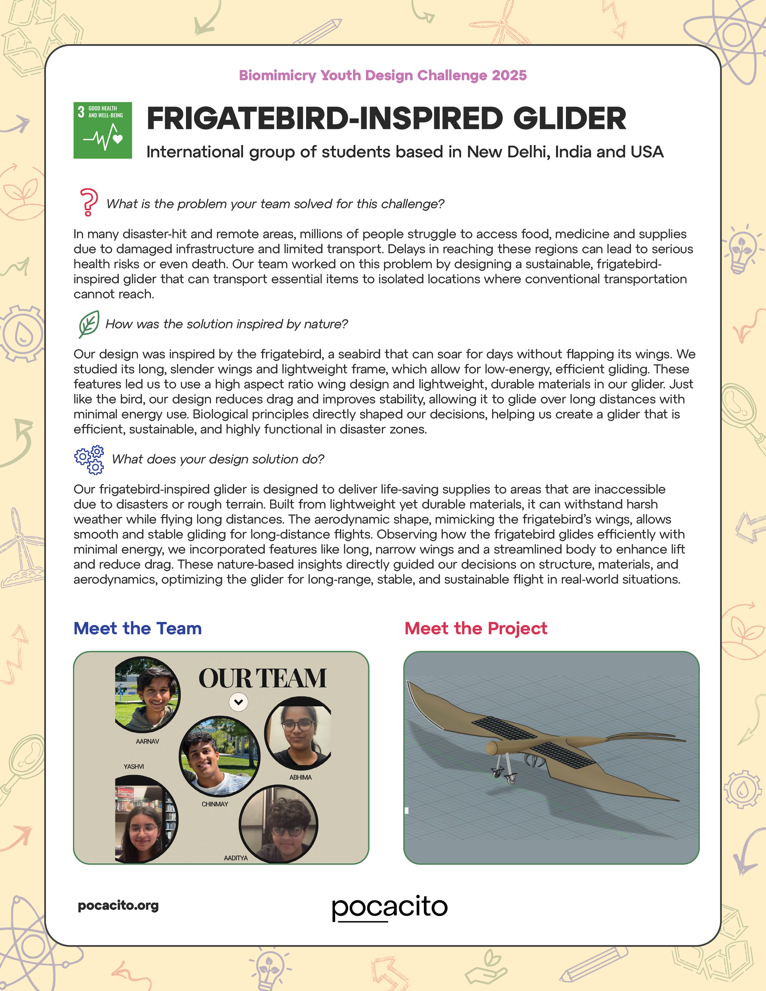 Pocacito Biomimicry Posters6.png