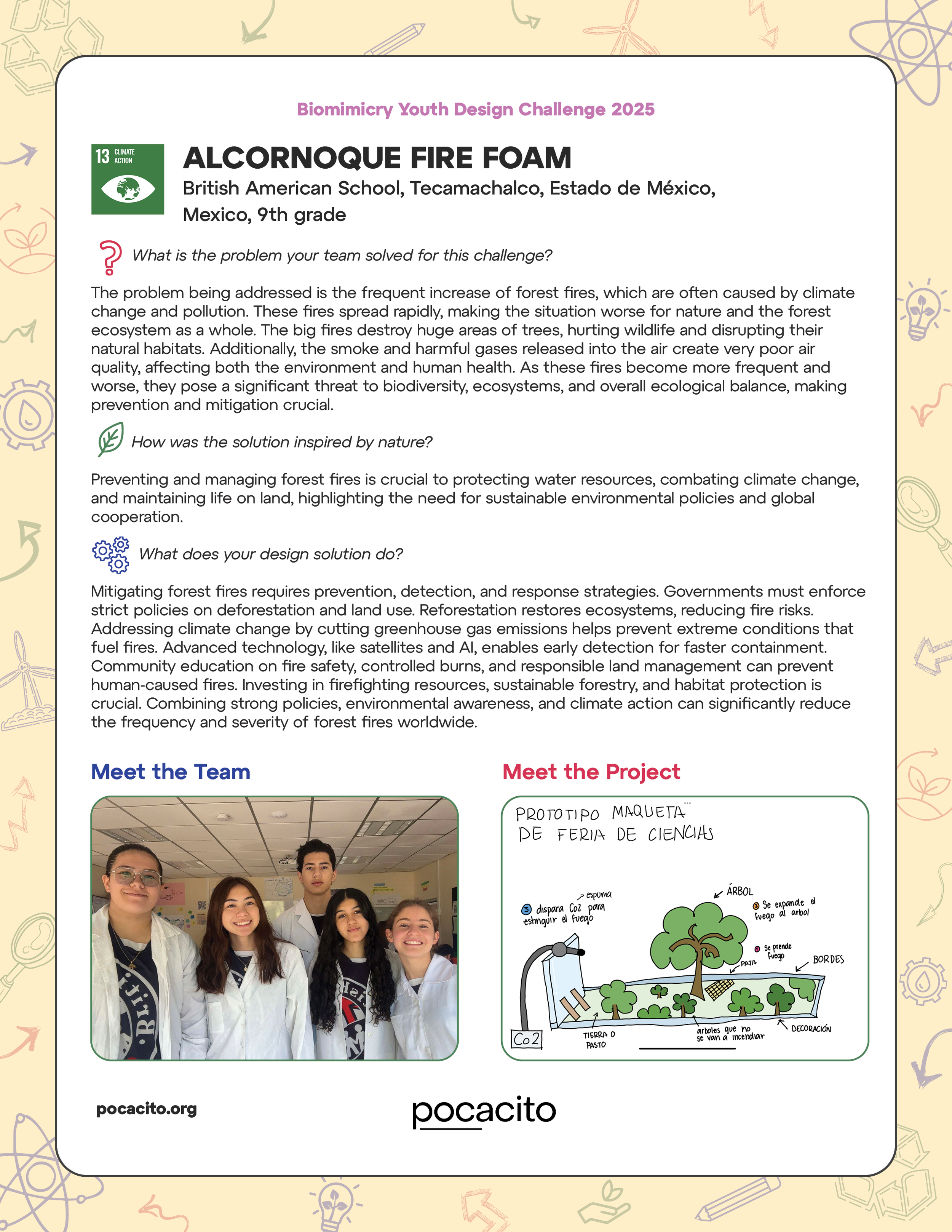 Pocacito Biomimicry Posters26.png