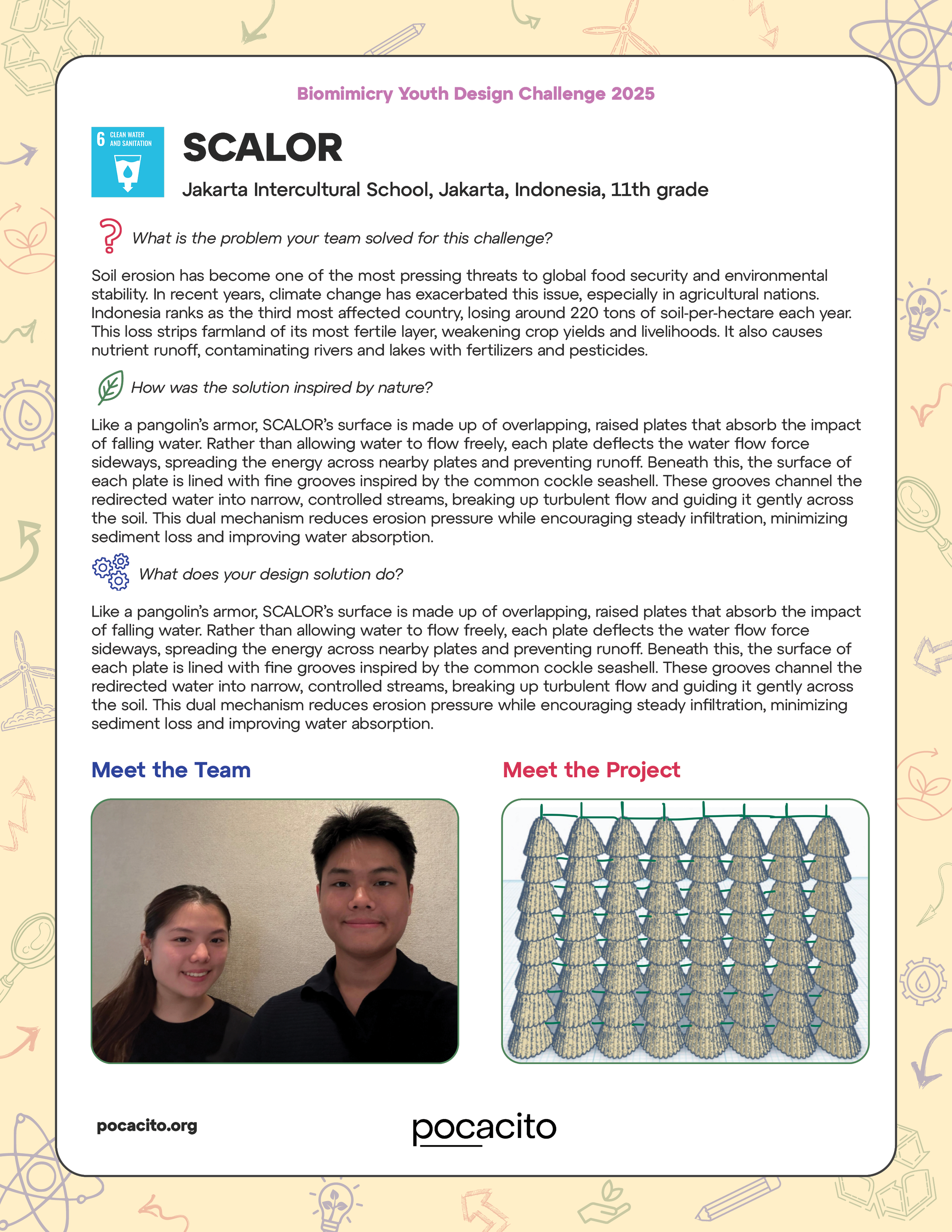 Pocacito Biomimicry Posters9.png