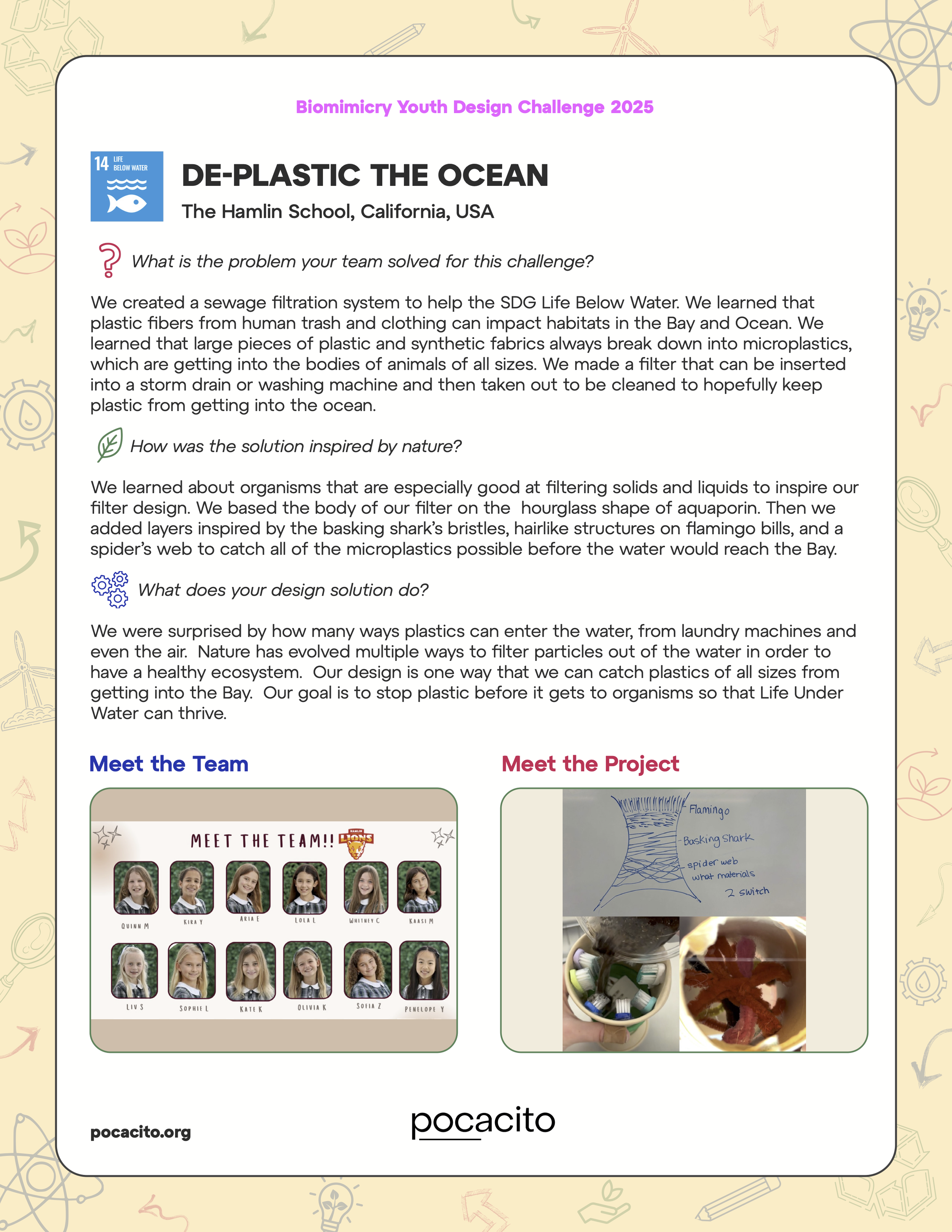 38_PDFsam_Pocacito Biomimicry Posters.png