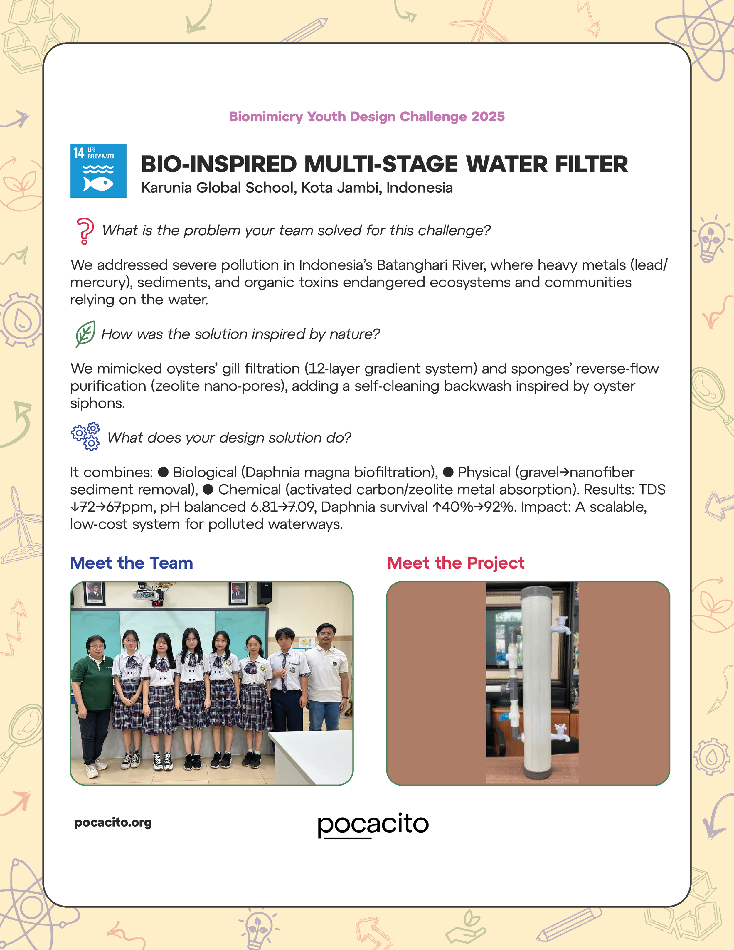 Pocacito Biomimicry Posters28.png