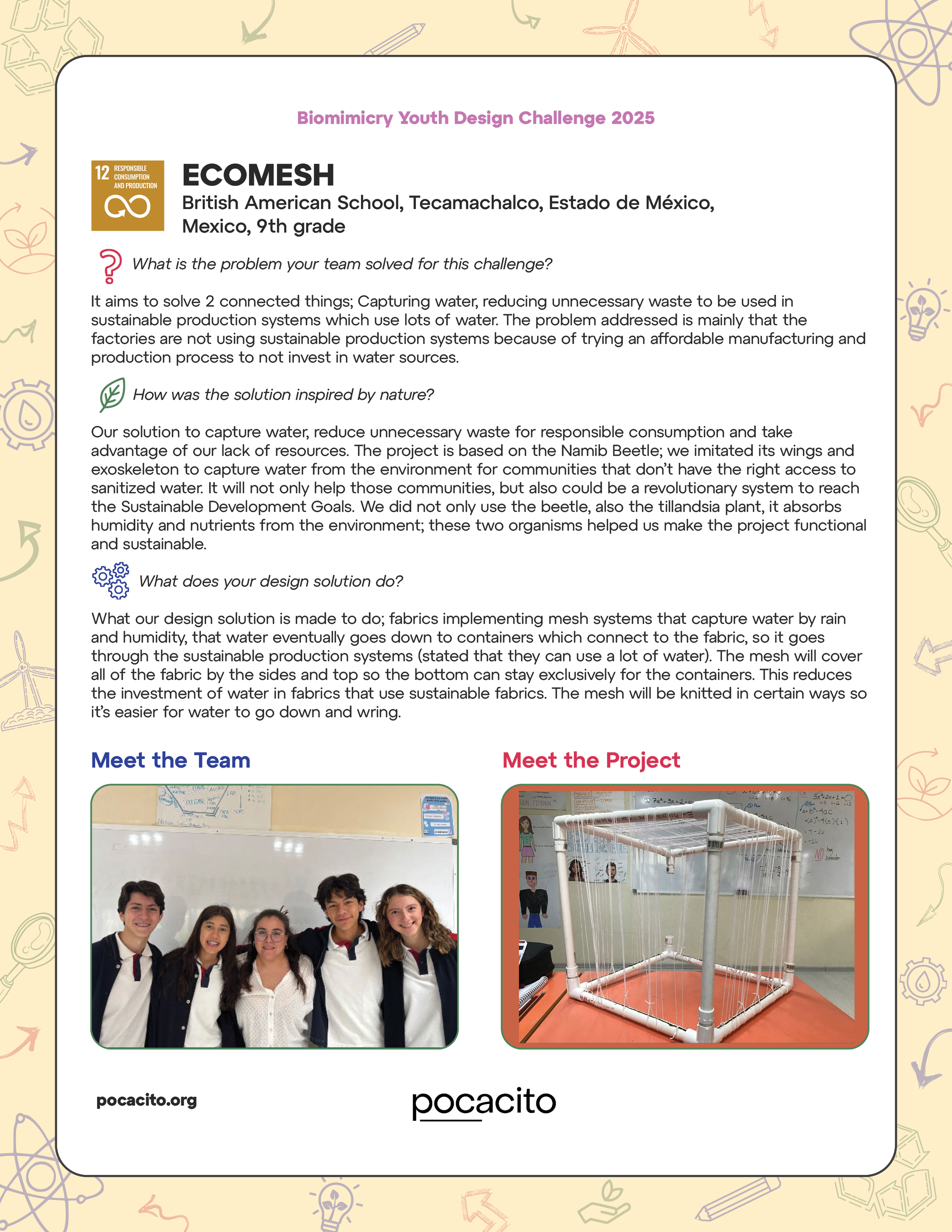 Pocacito Biomimicry Posters23.png
