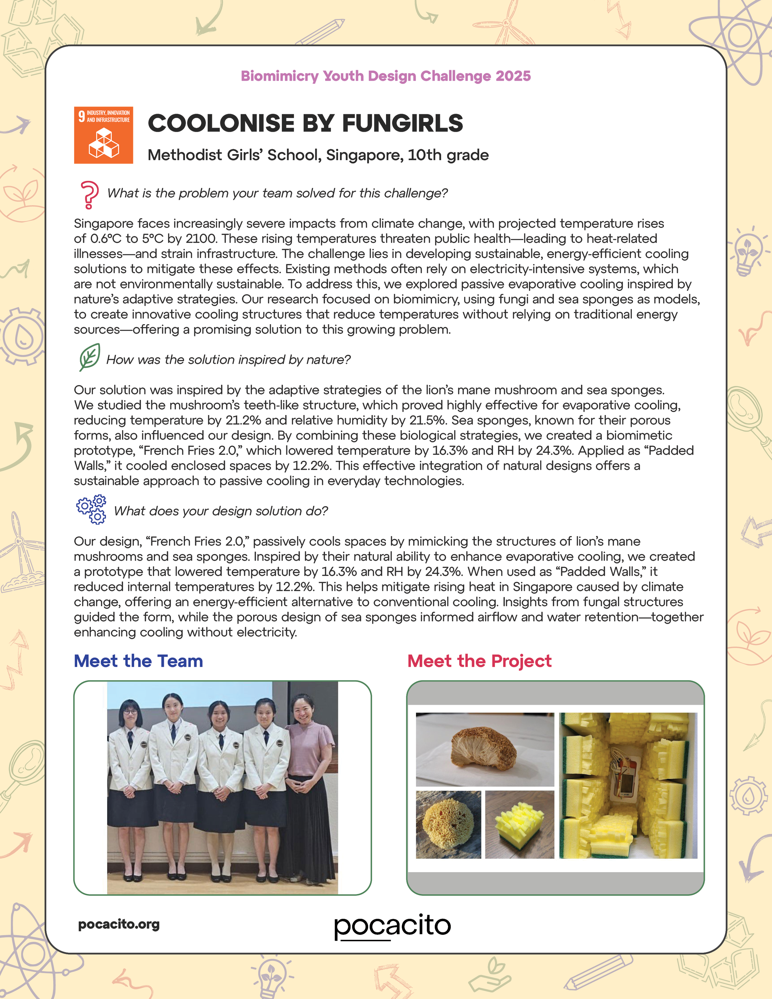 Pocacito Biomimicry Posters16.png