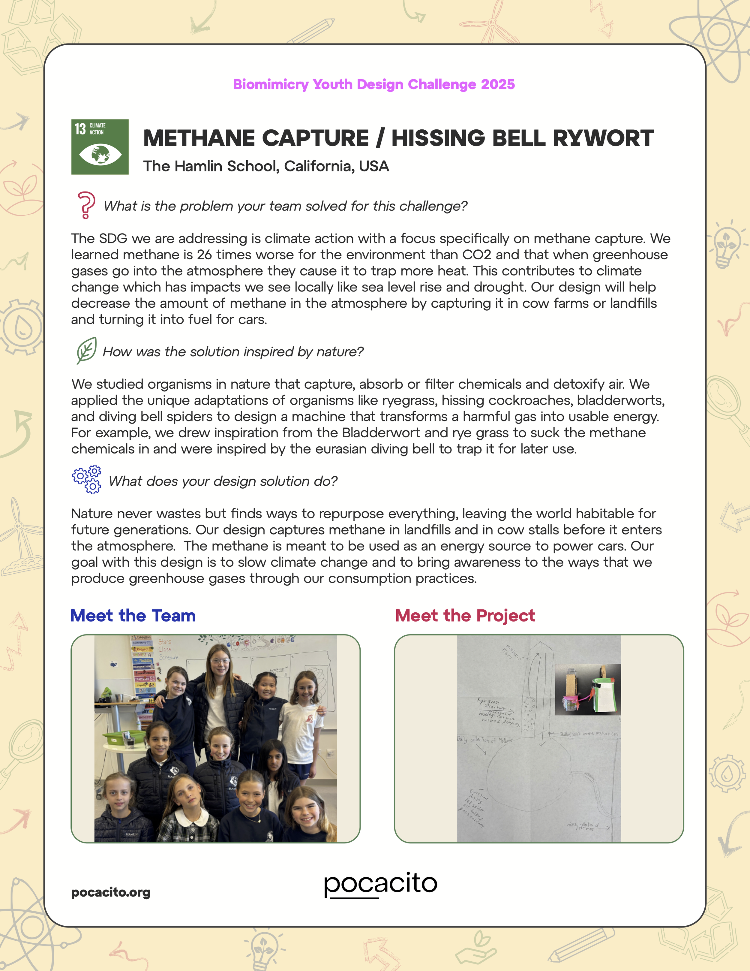 37_PDFsam_Pocacito Biomimicry Posters.png